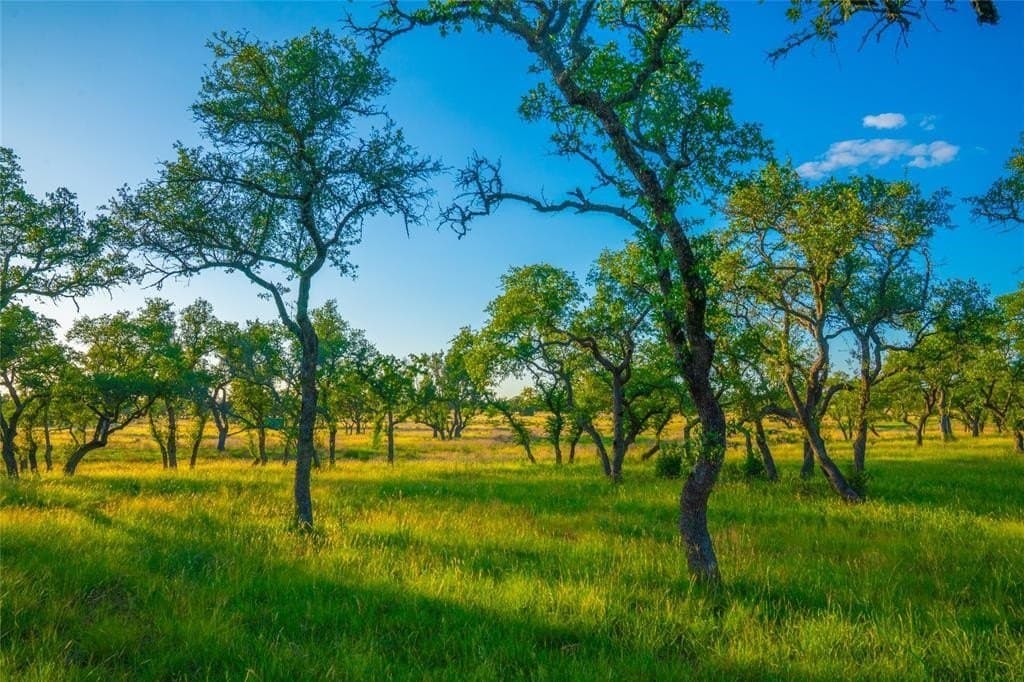 24 acres in Blanco County - photo 10