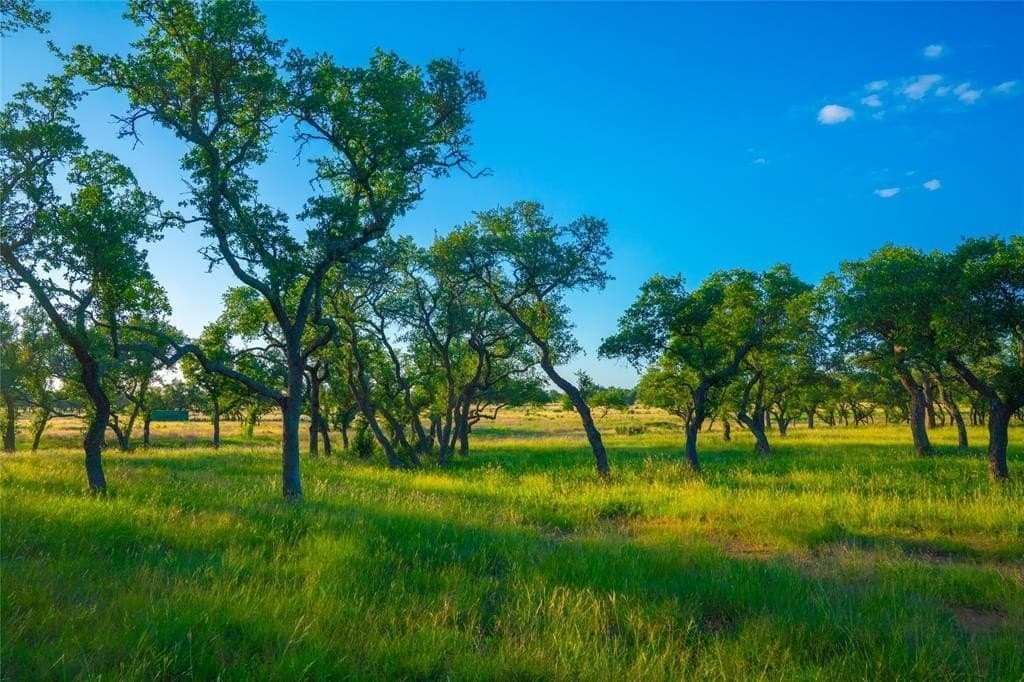24 acres in Blanco County - photo 11
