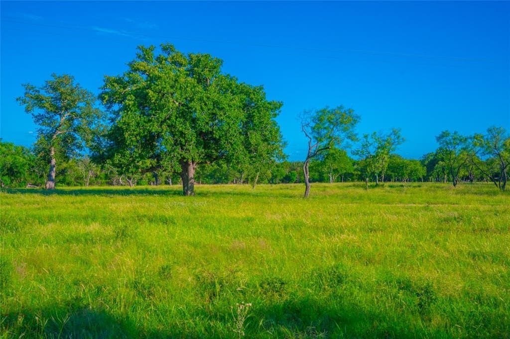 24 acres in Blanco County - photo 7