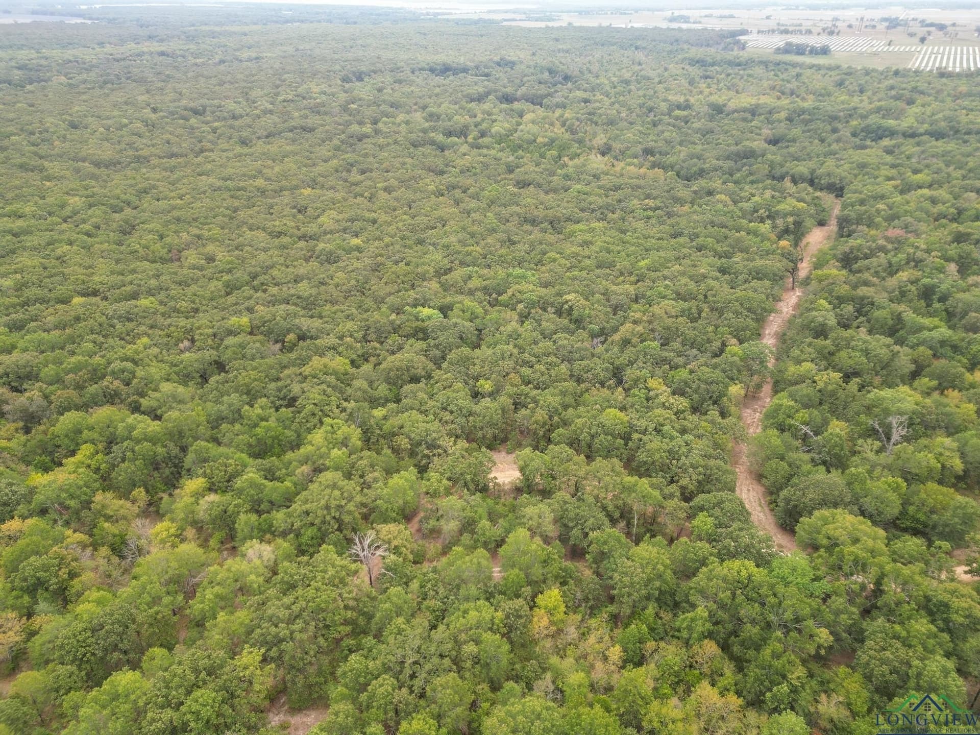 31.59 acres in Texas County gallery image 3