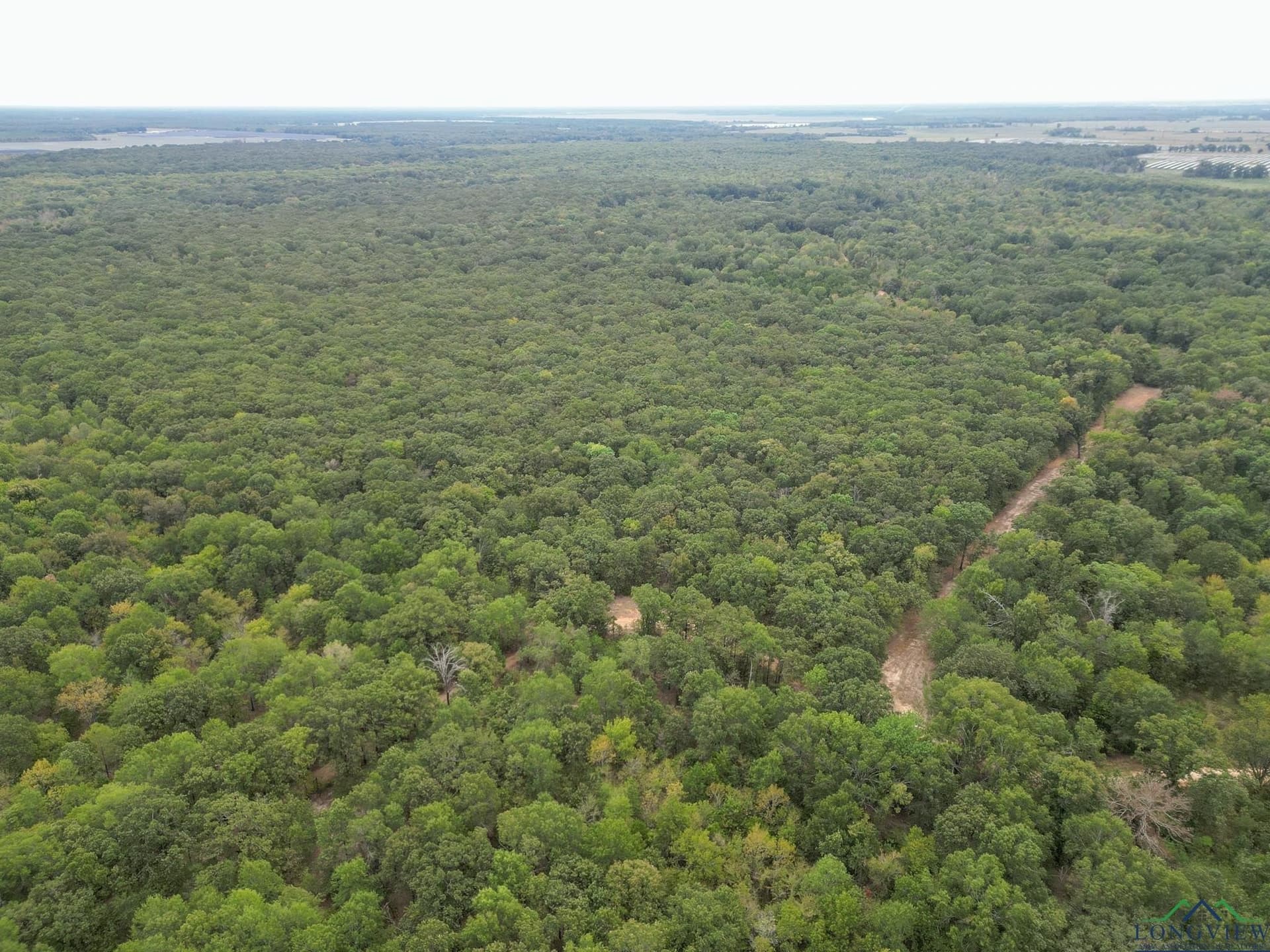 31.59 acres in Texas County