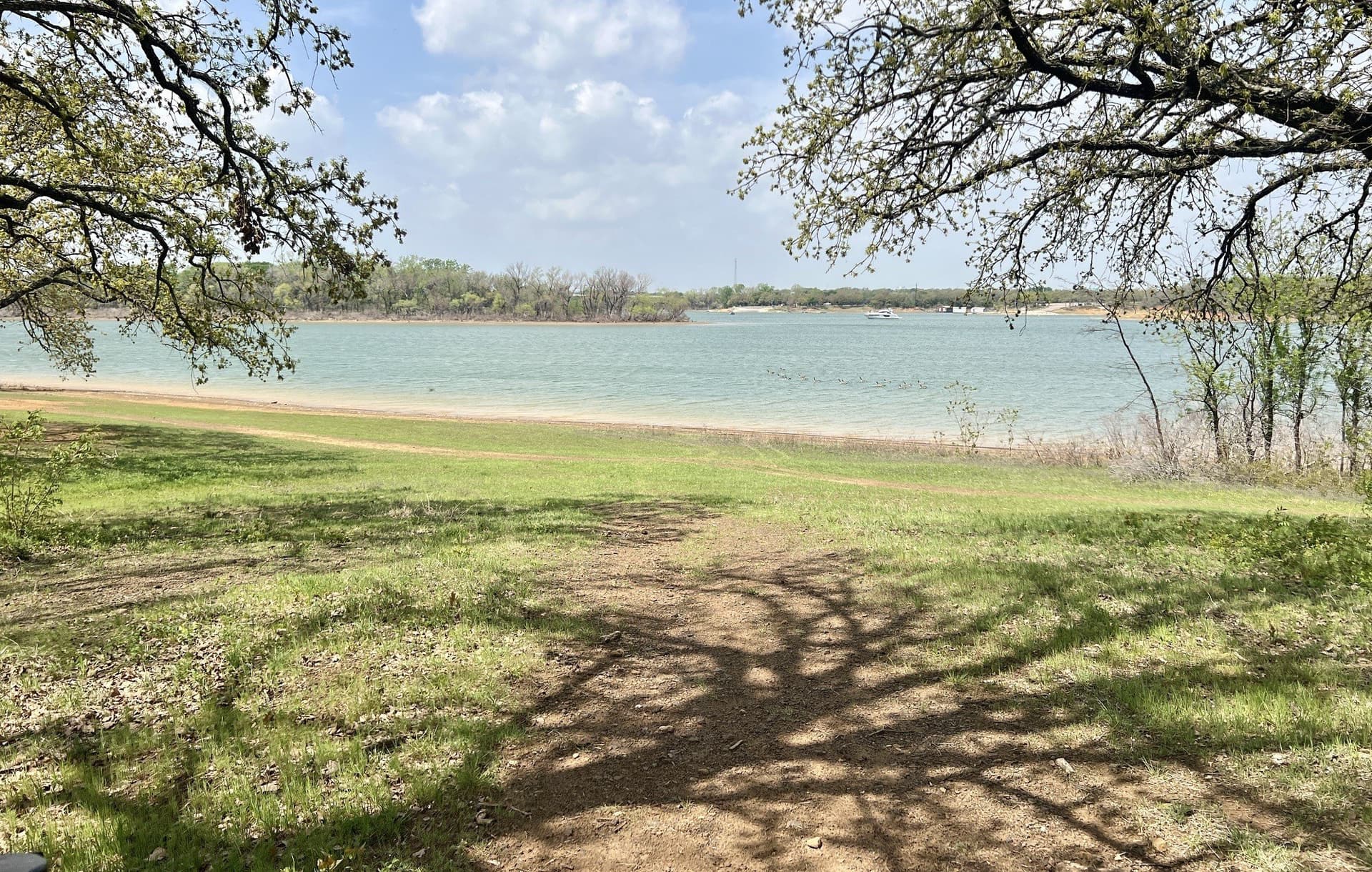 0.5 acres in Denton County - photo 6