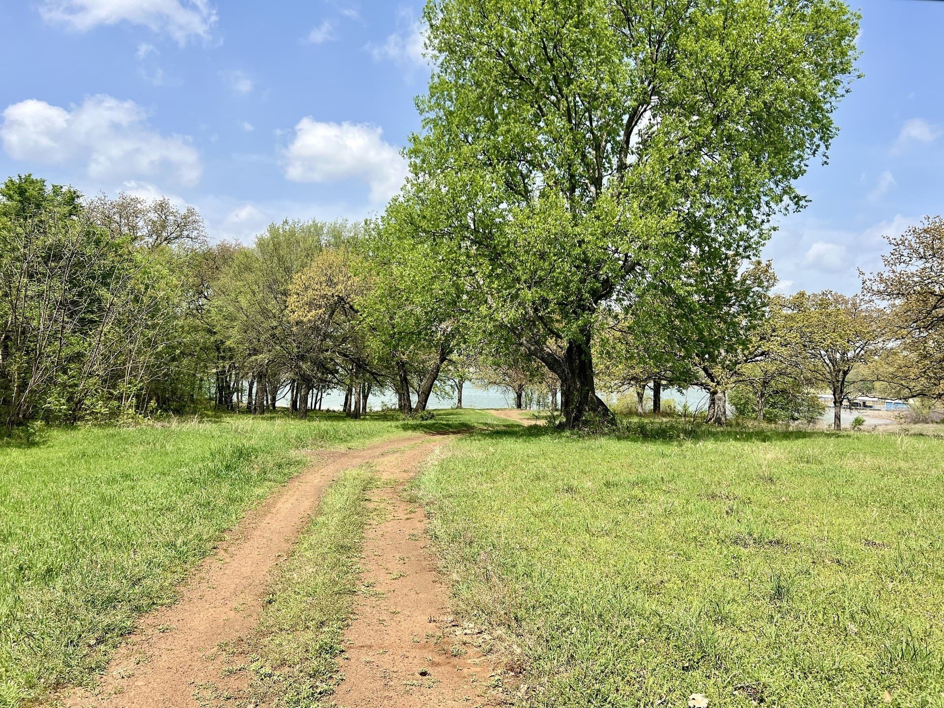 0.5 acres in Denton County gallery image 3