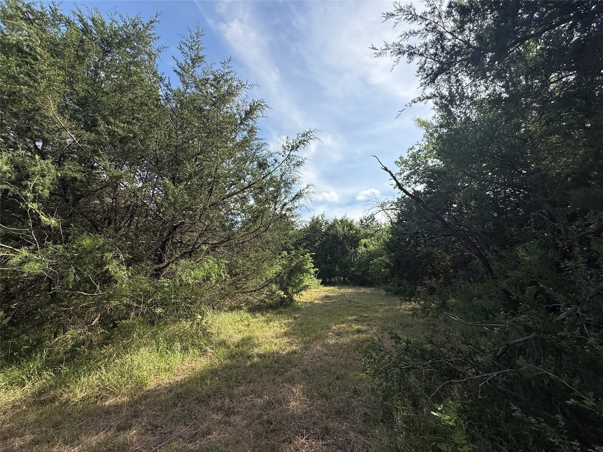 1.57 acres in Navarro County - photo 26