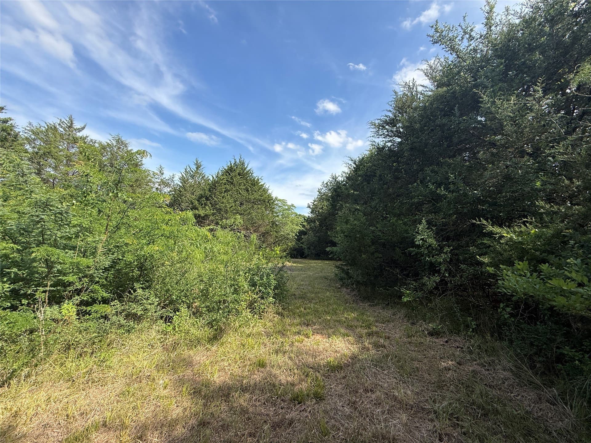 1.57 acres in Navarro County gallery image 4