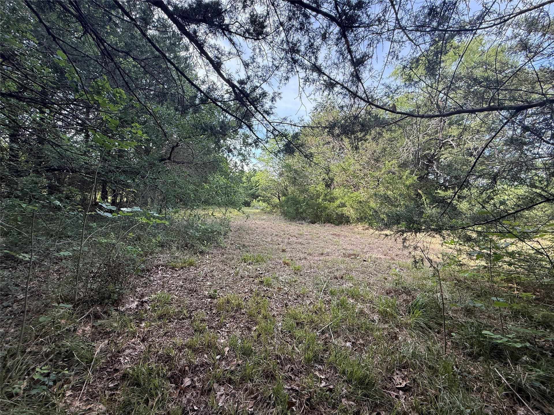 1.57 acres in Navarro County - photo 10