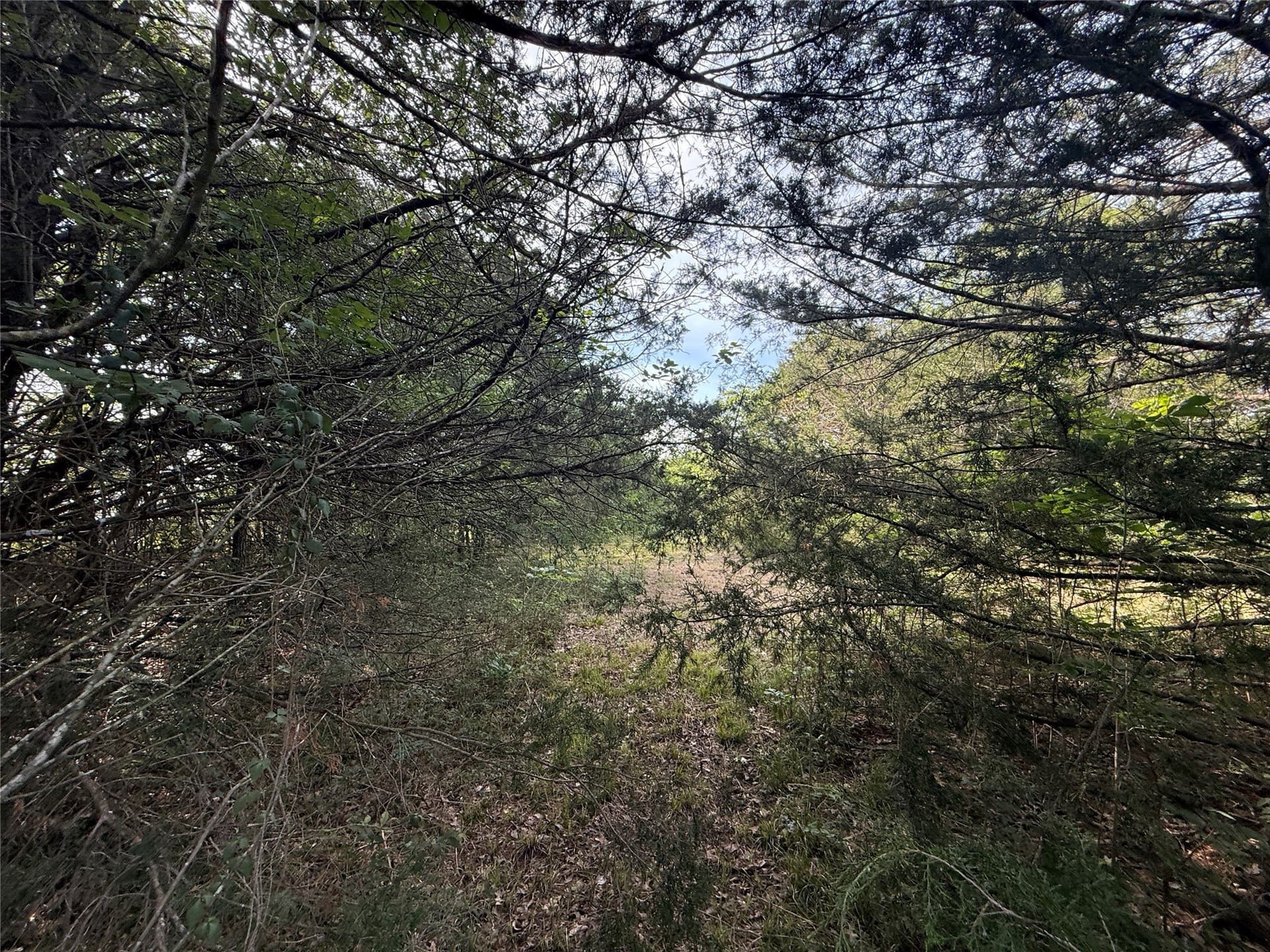 1.57 acres in Navarro County - photo 21