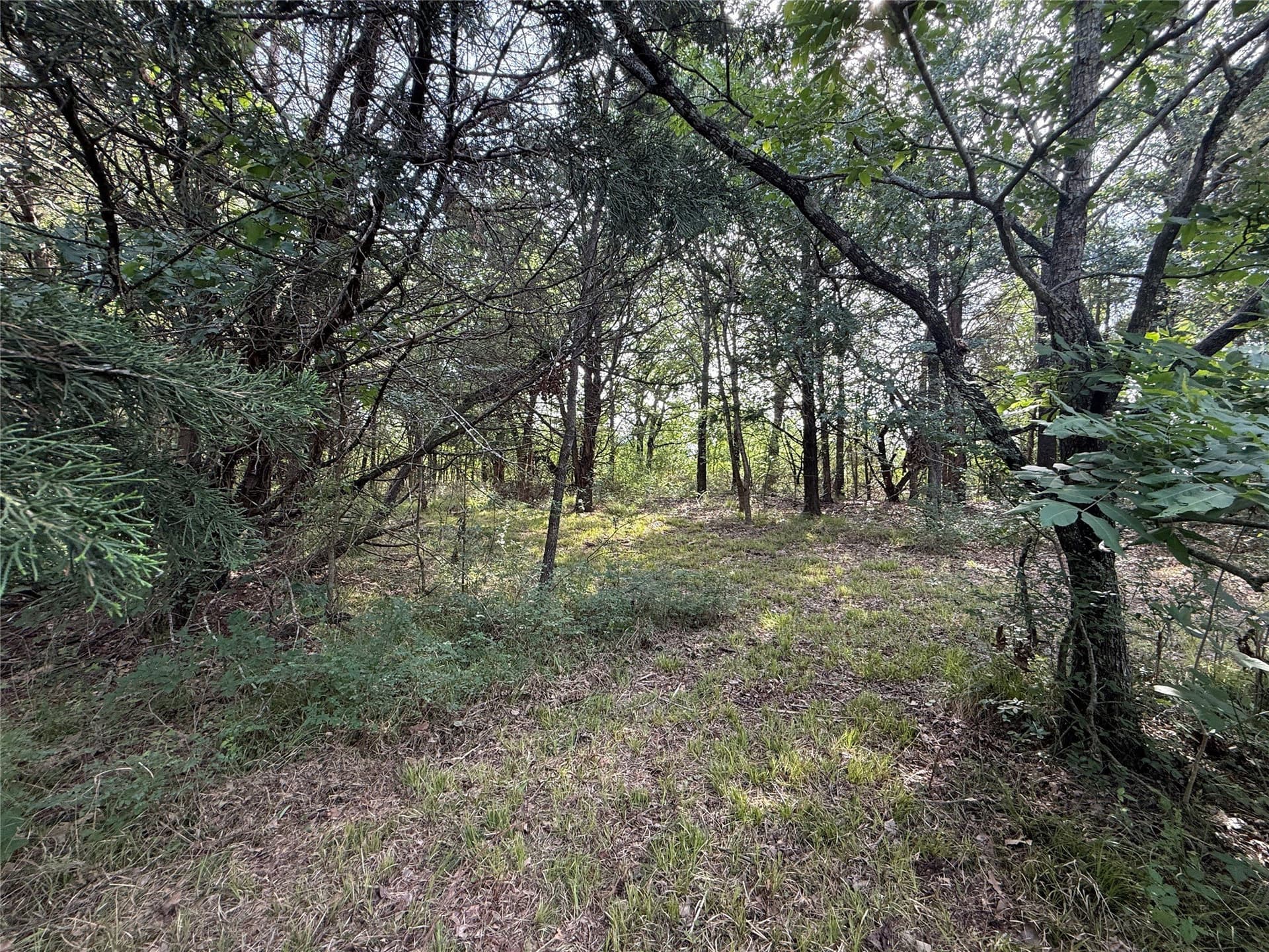 1.57 acres in Navarro County - photo 14