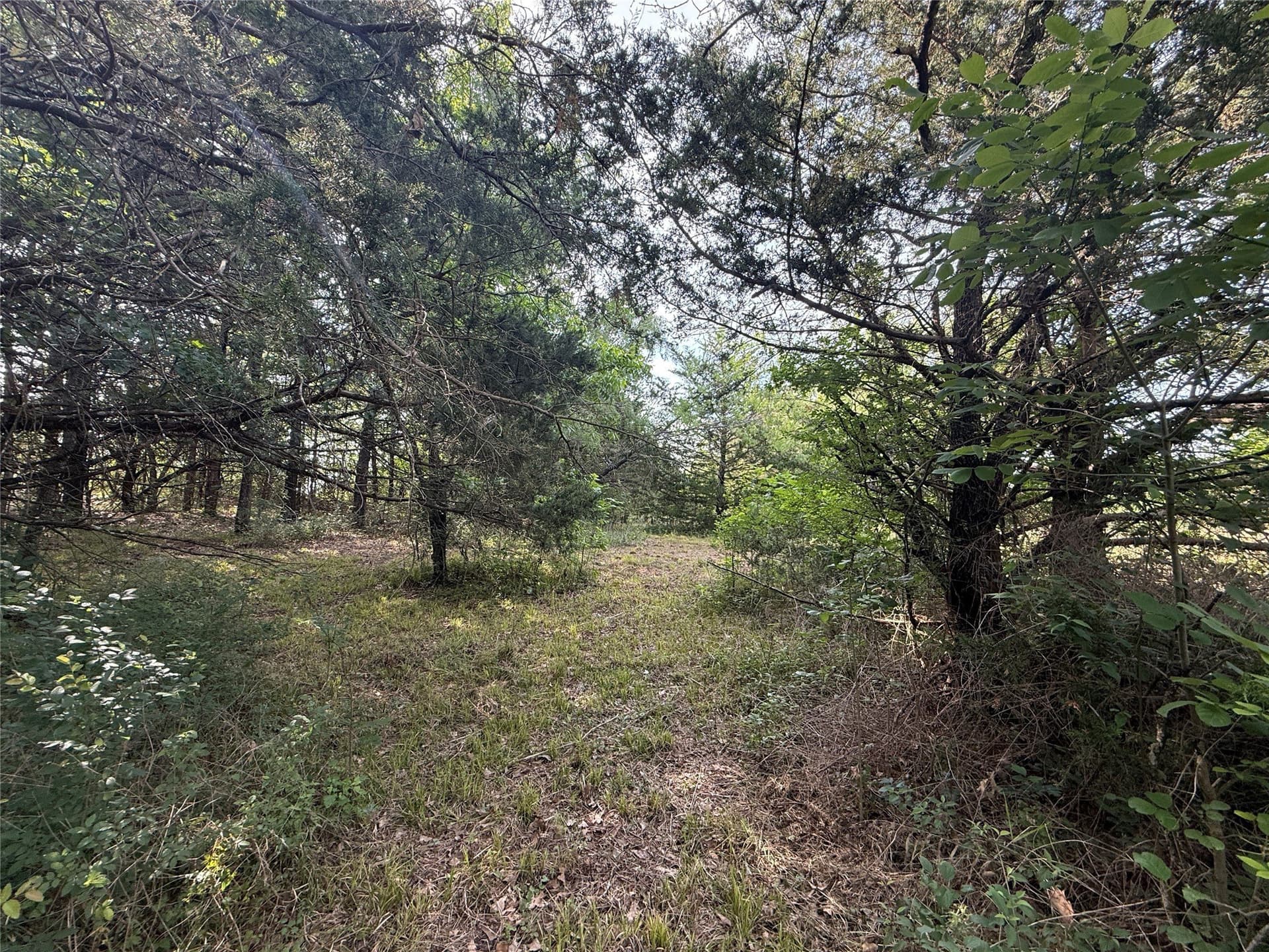 1.57 acres in Navarro County gallery image 3