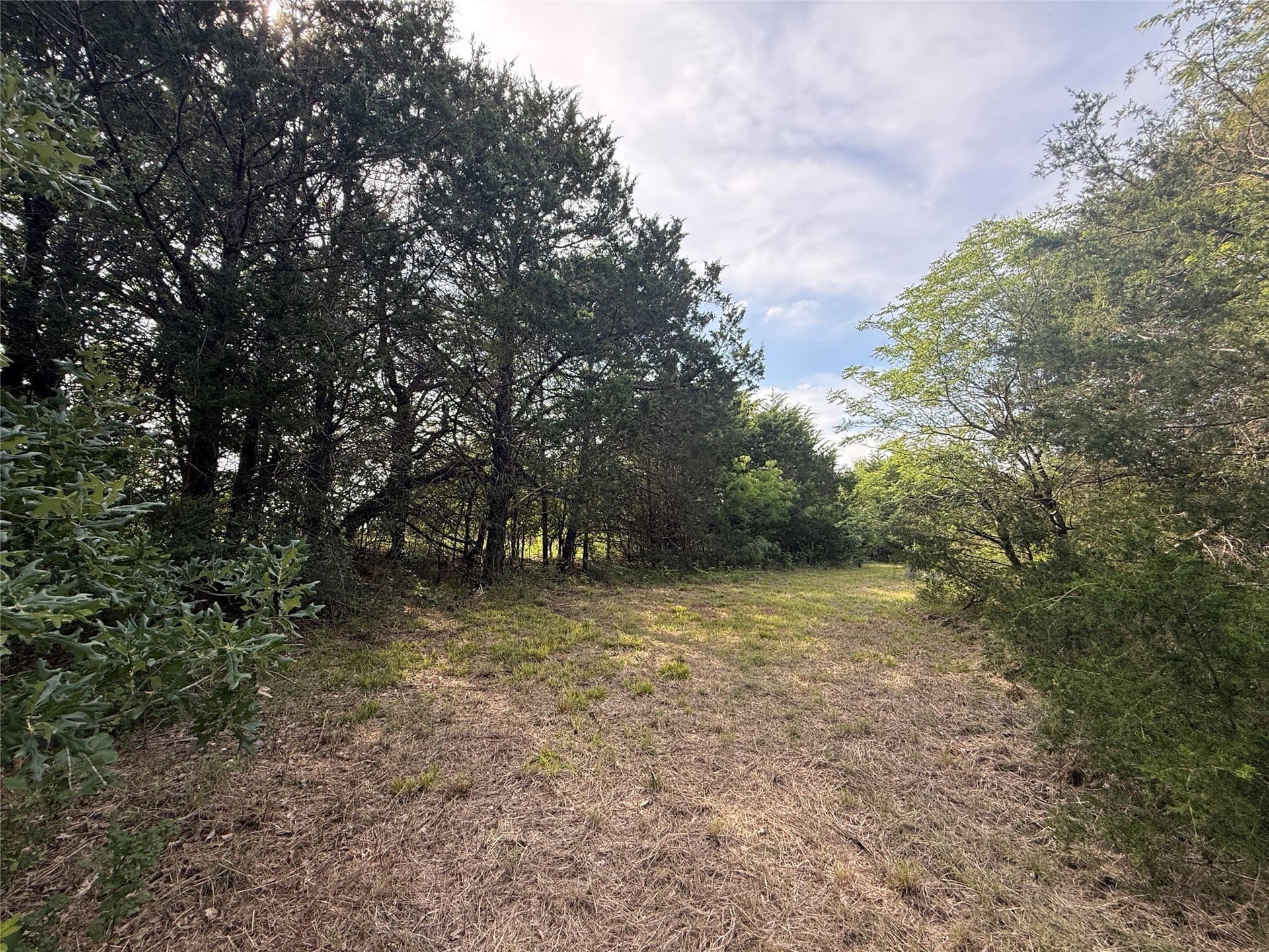1.57 acres in Navarro County - photo 34