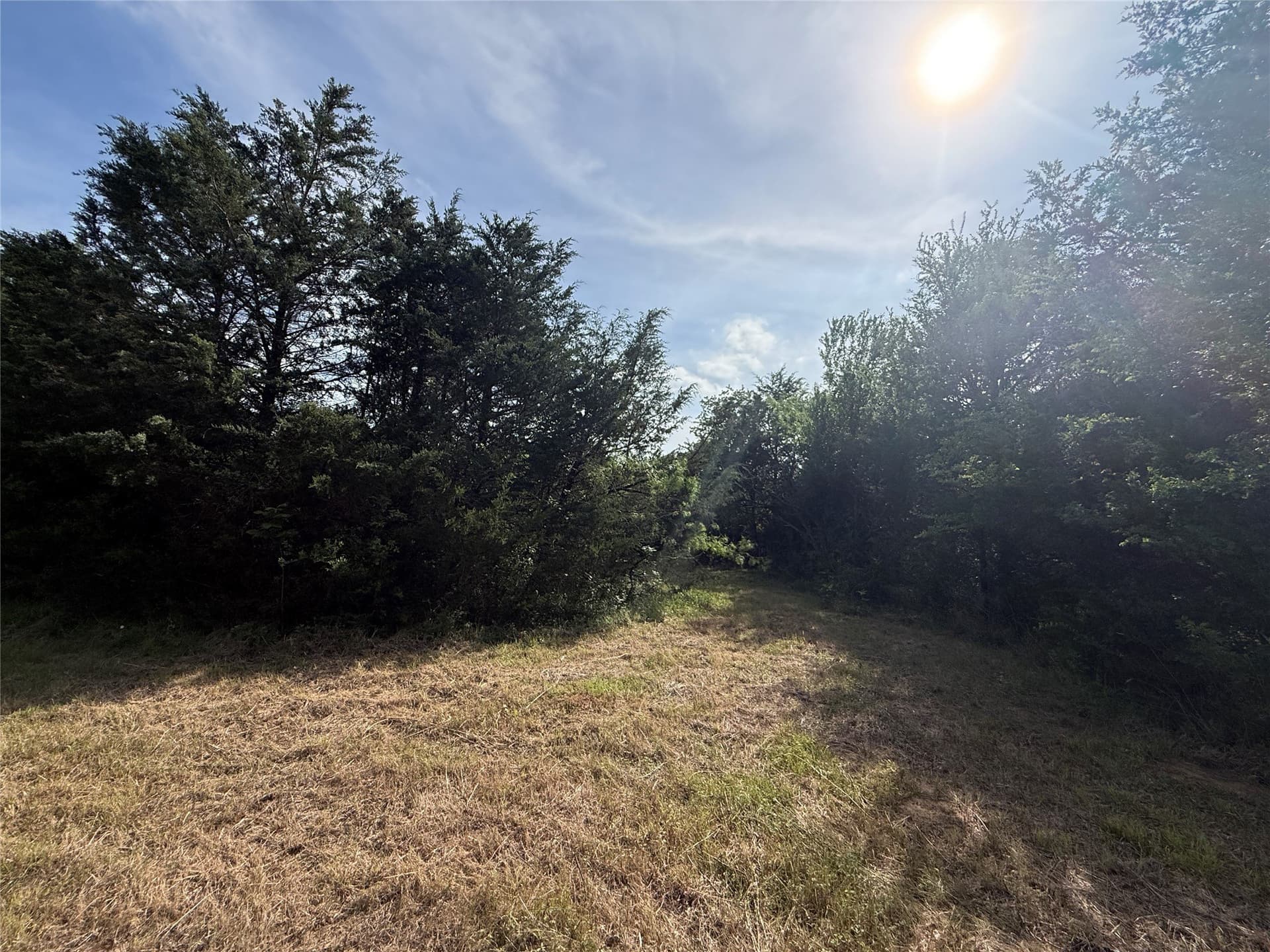 1.57 acres in Navarro County - photo 36