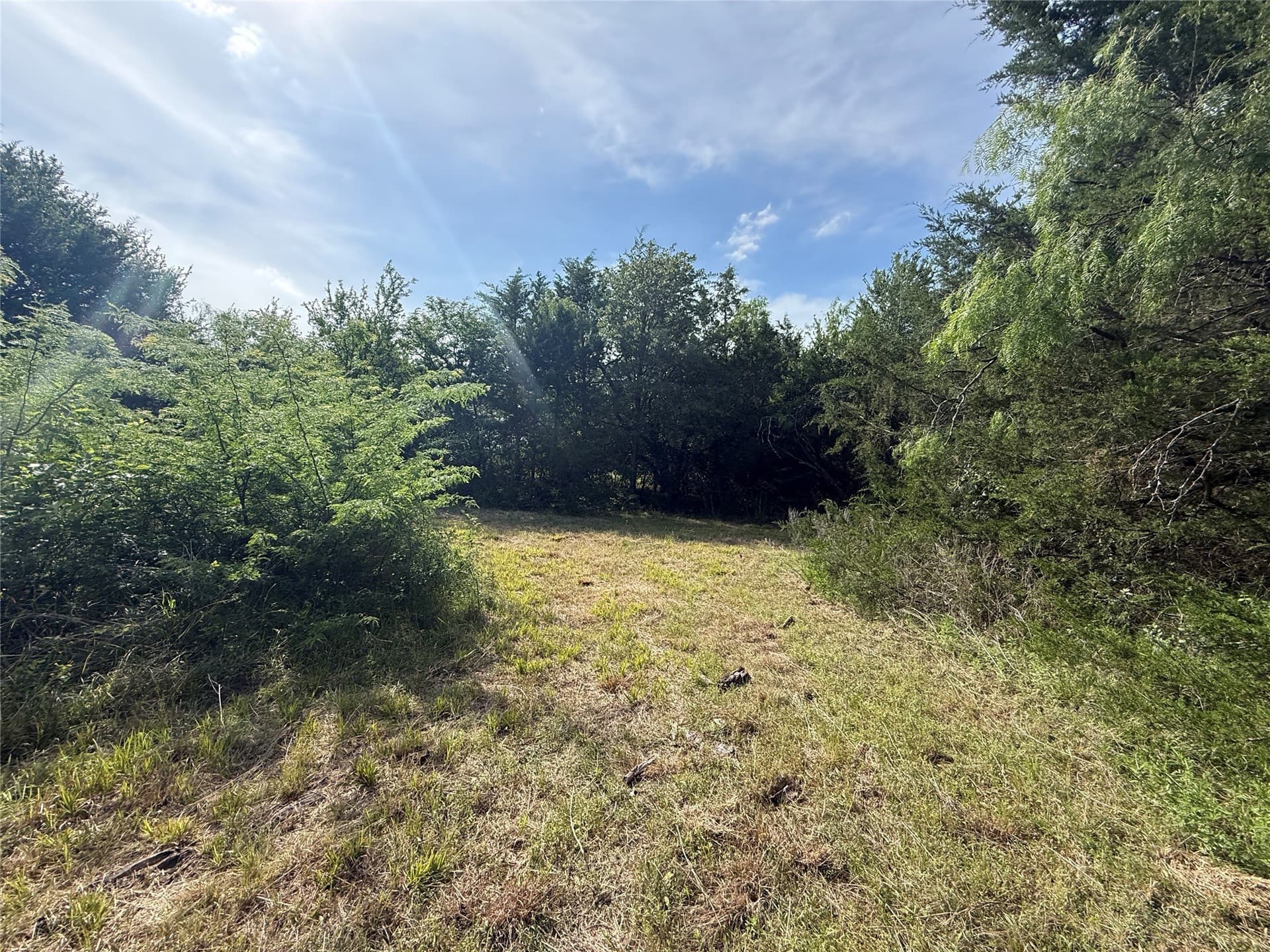 1.57 acres in Navarro County - photo 13