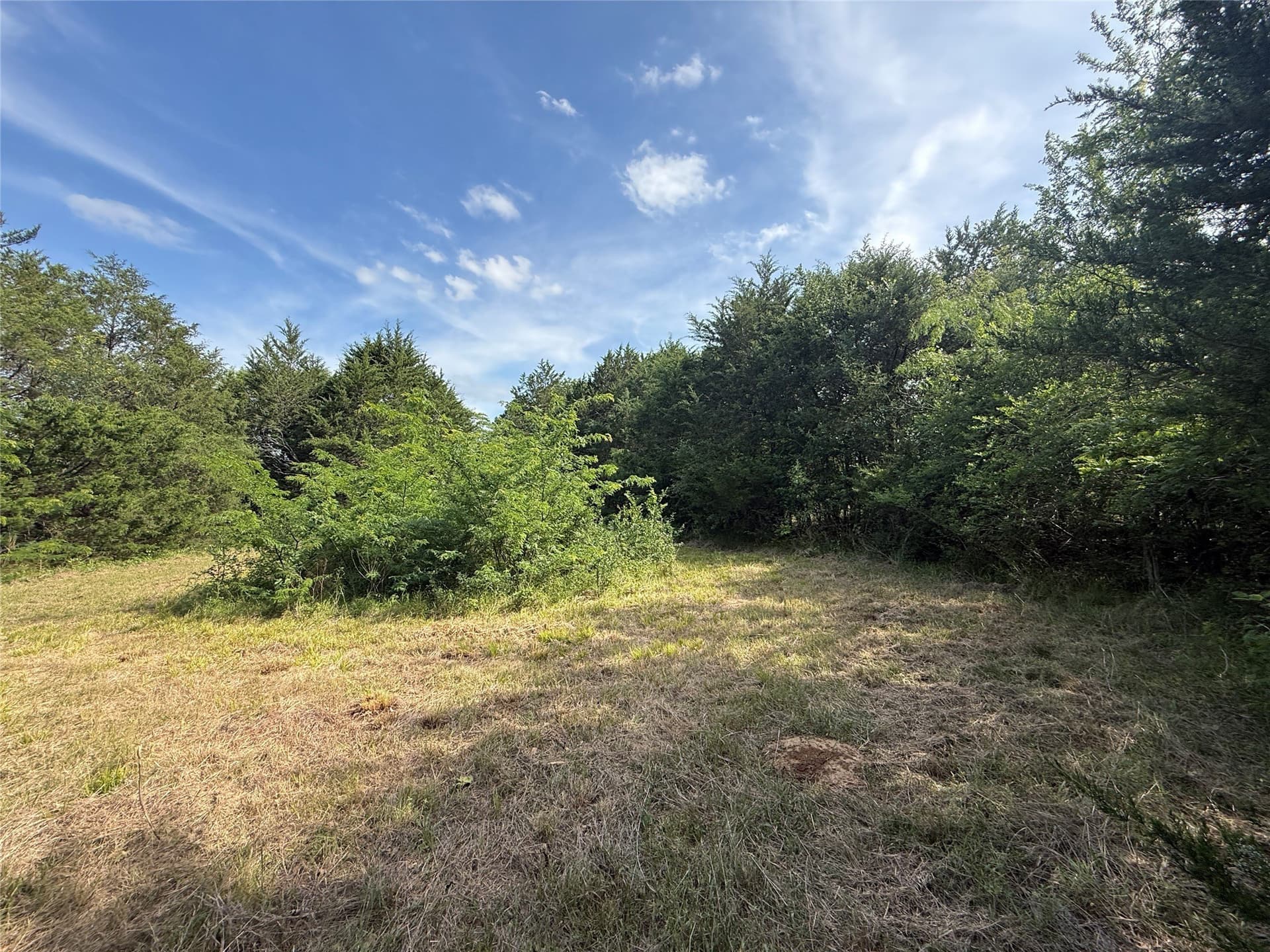 1.57 acres in Navarro County - photo 29