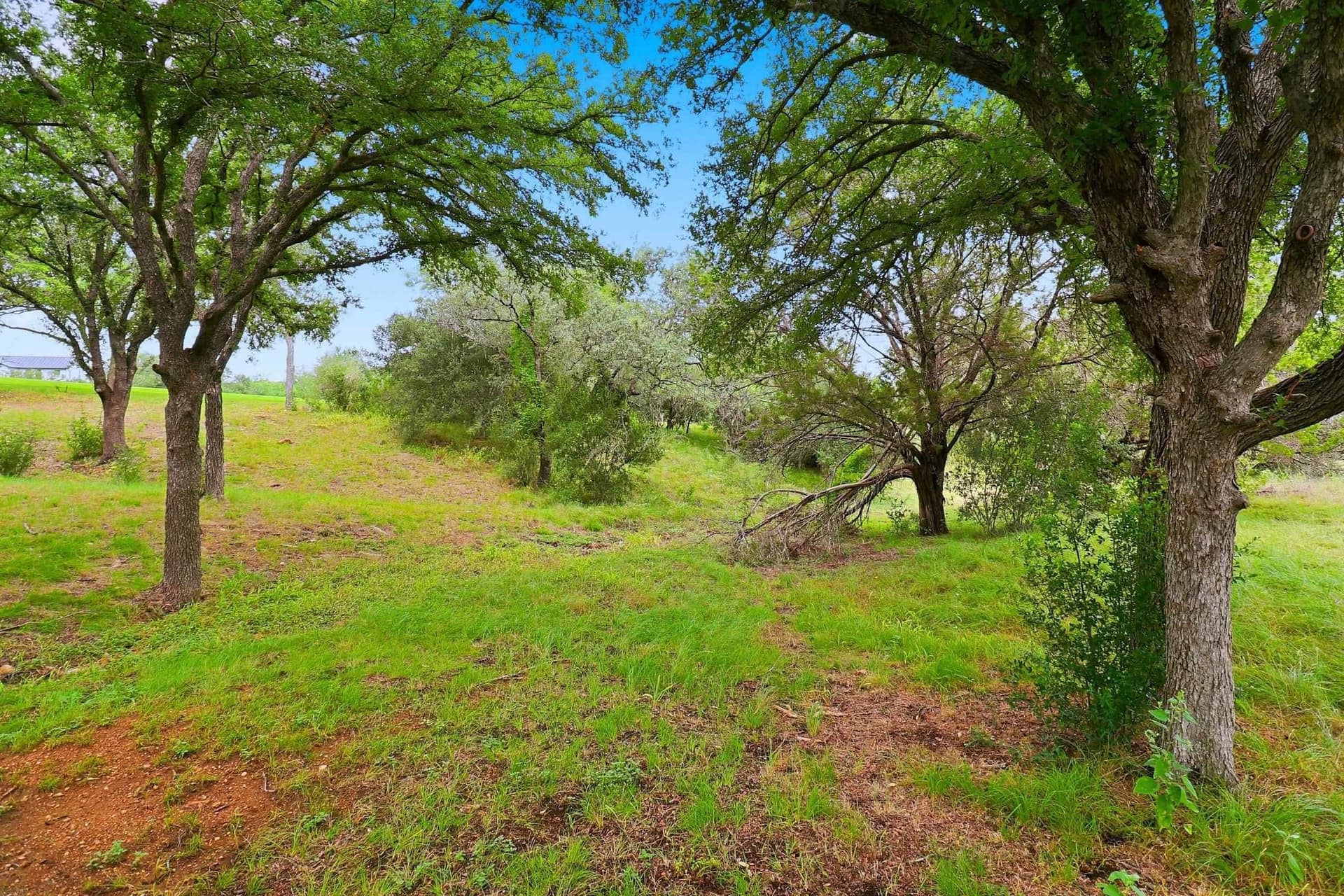 0.43 acres in Llano County - photo 7