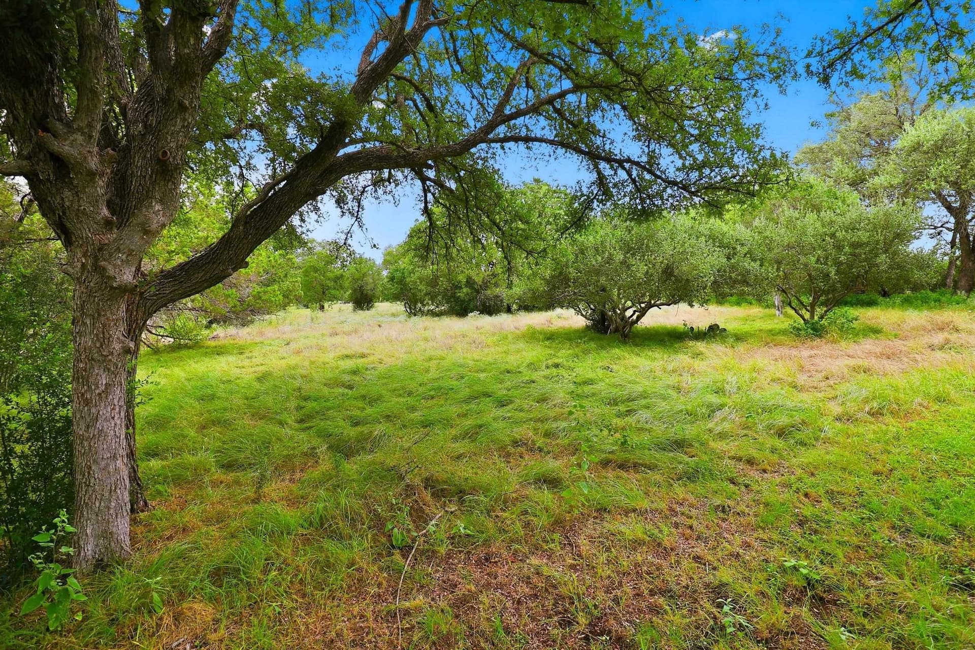 0.43 acres in Llano County - photo 21
