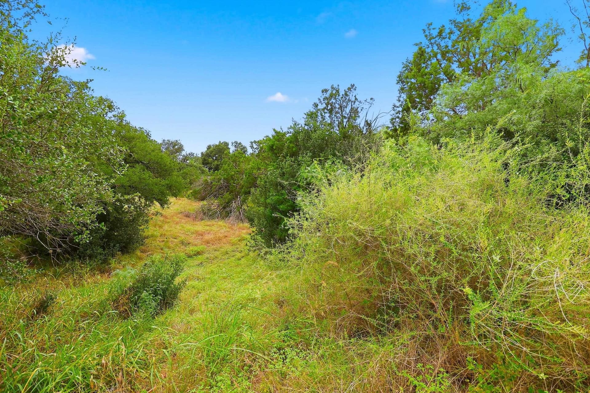 0.43 acres in Llano County - photo 8
