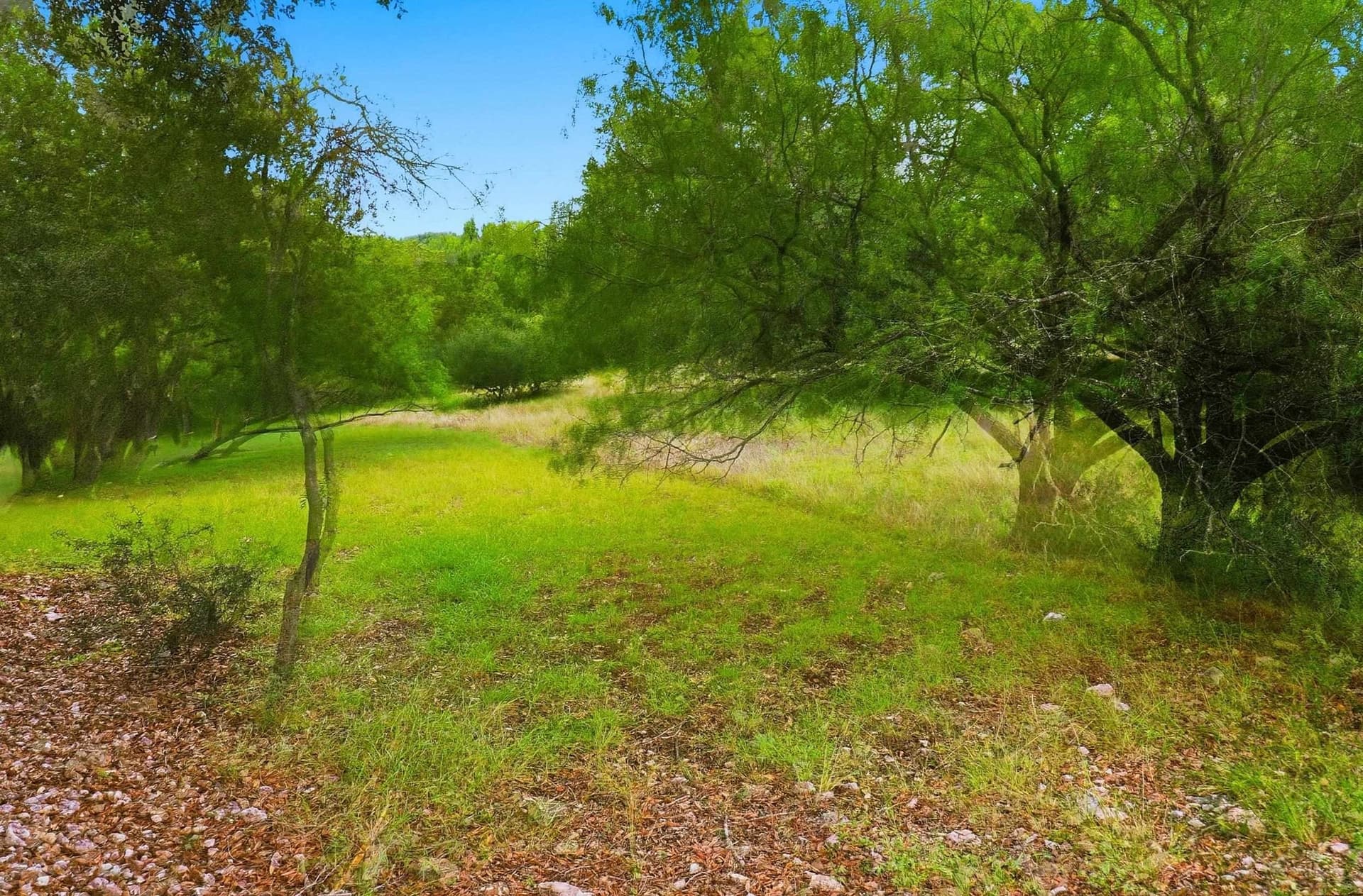 0.43 acres in Llano County - photo 11