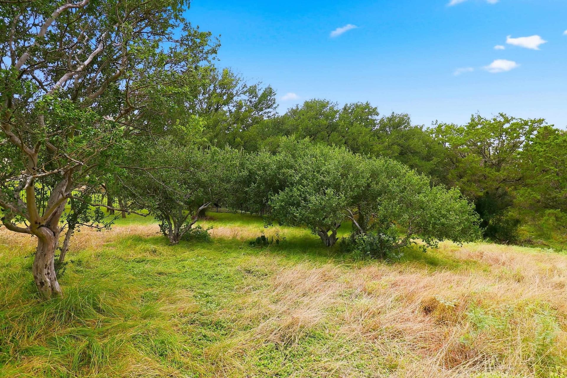 0.43 acres in Llano County - photo 9