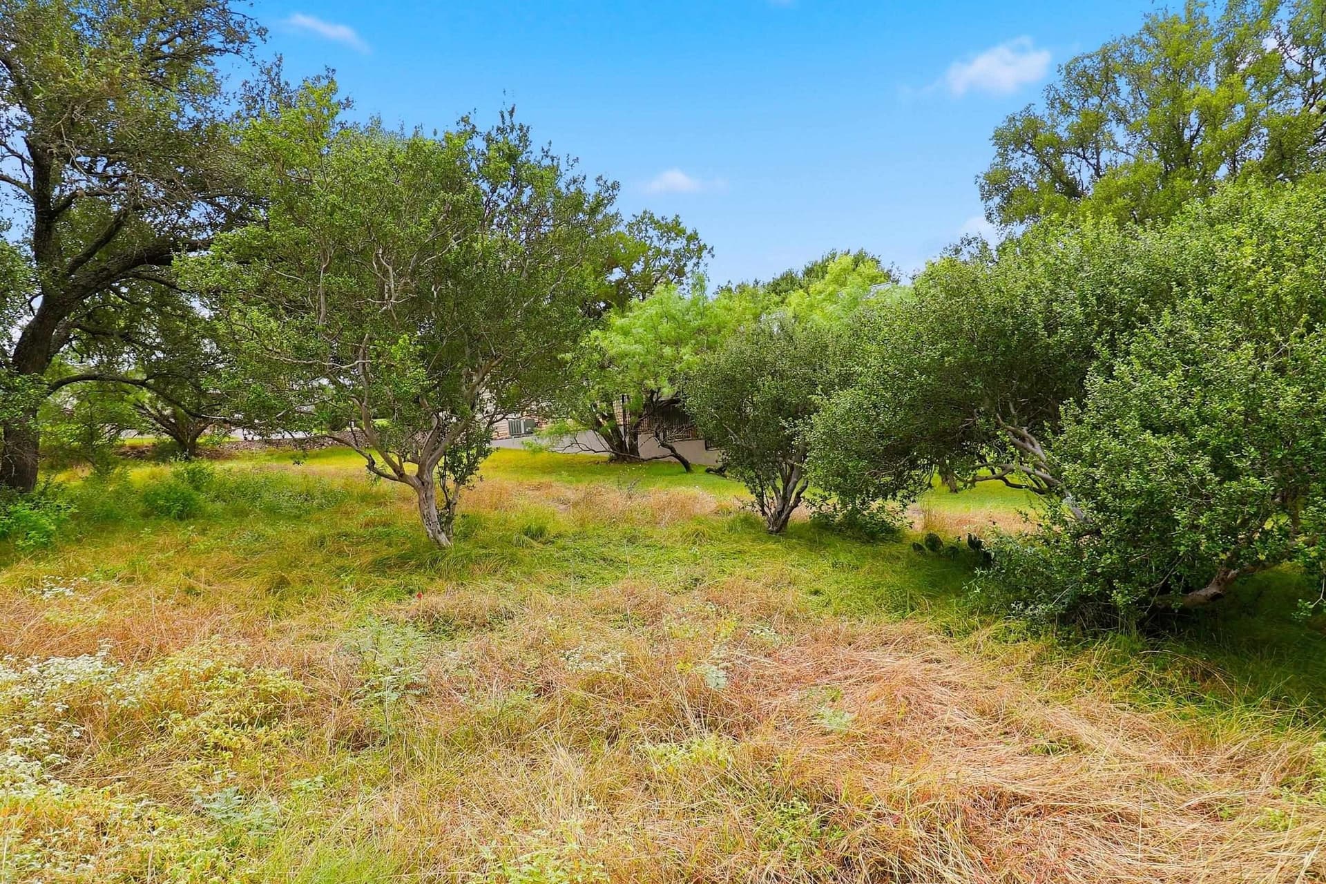 0.43 acres in Llano County - photo 20