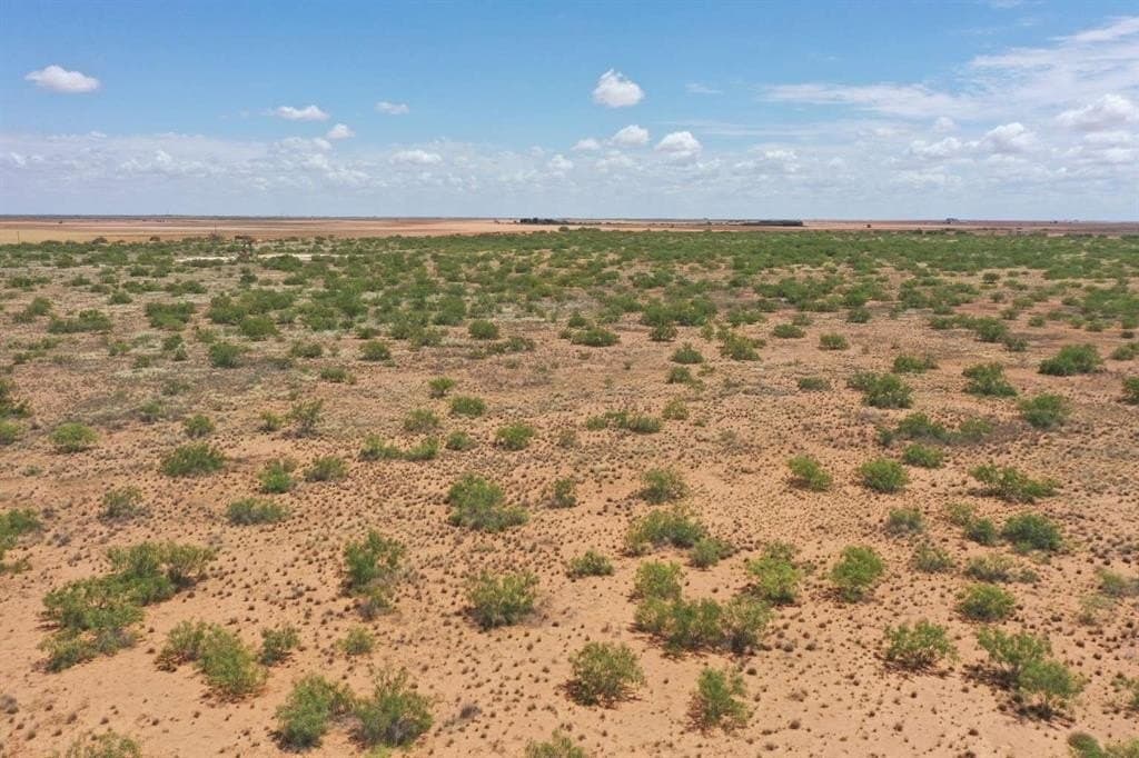 1 acres in Midland County featured view