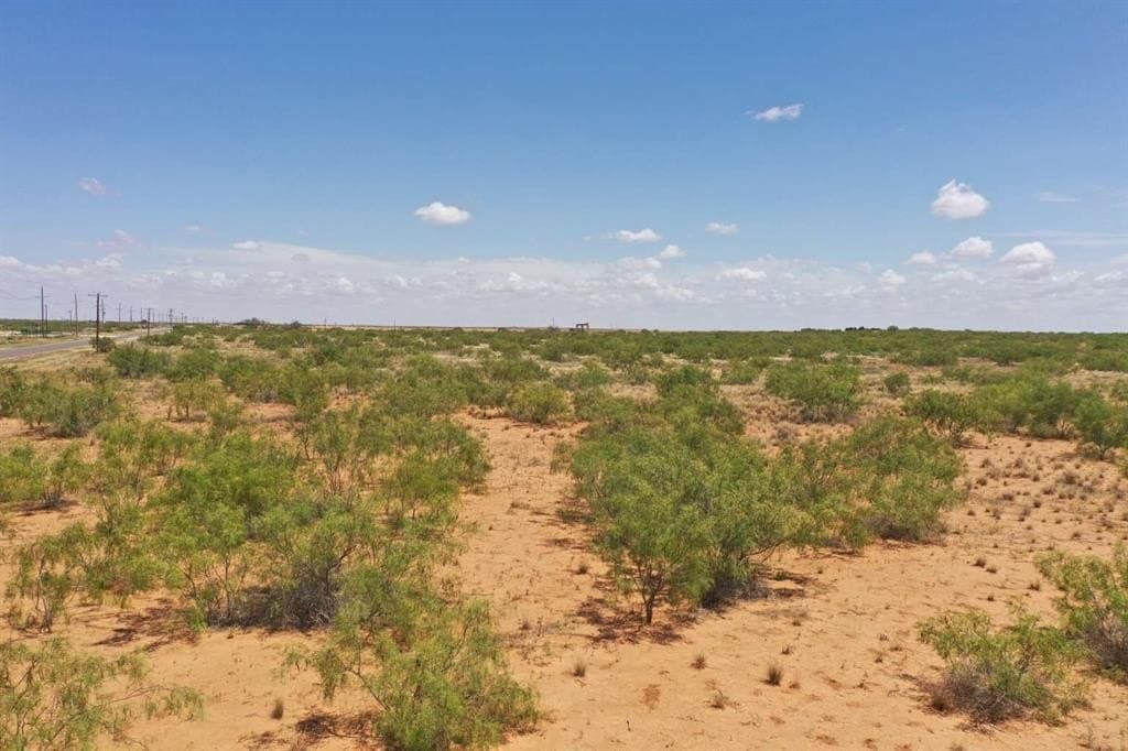 1 acres in Midland County gallery image 4