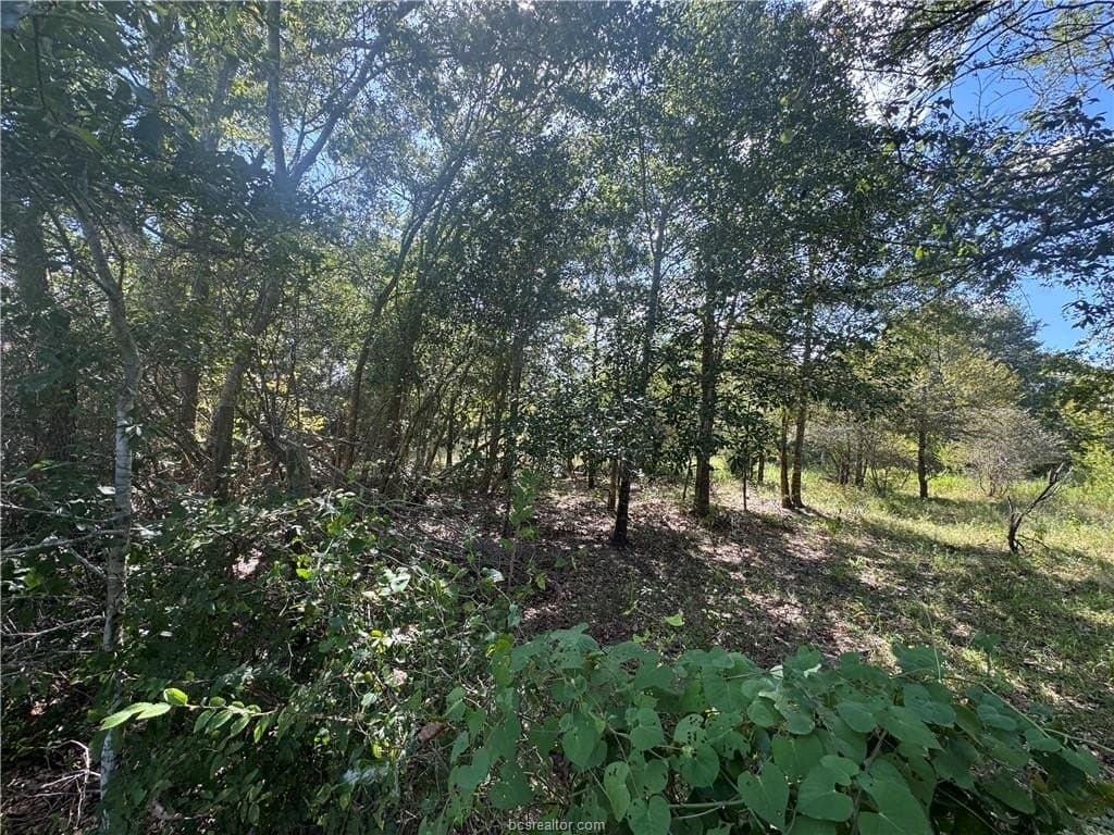 7.36 acres in Washington County - photo 9