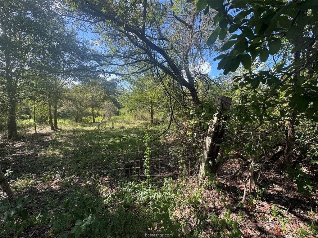 7.36 acres in Washington County - photo 5