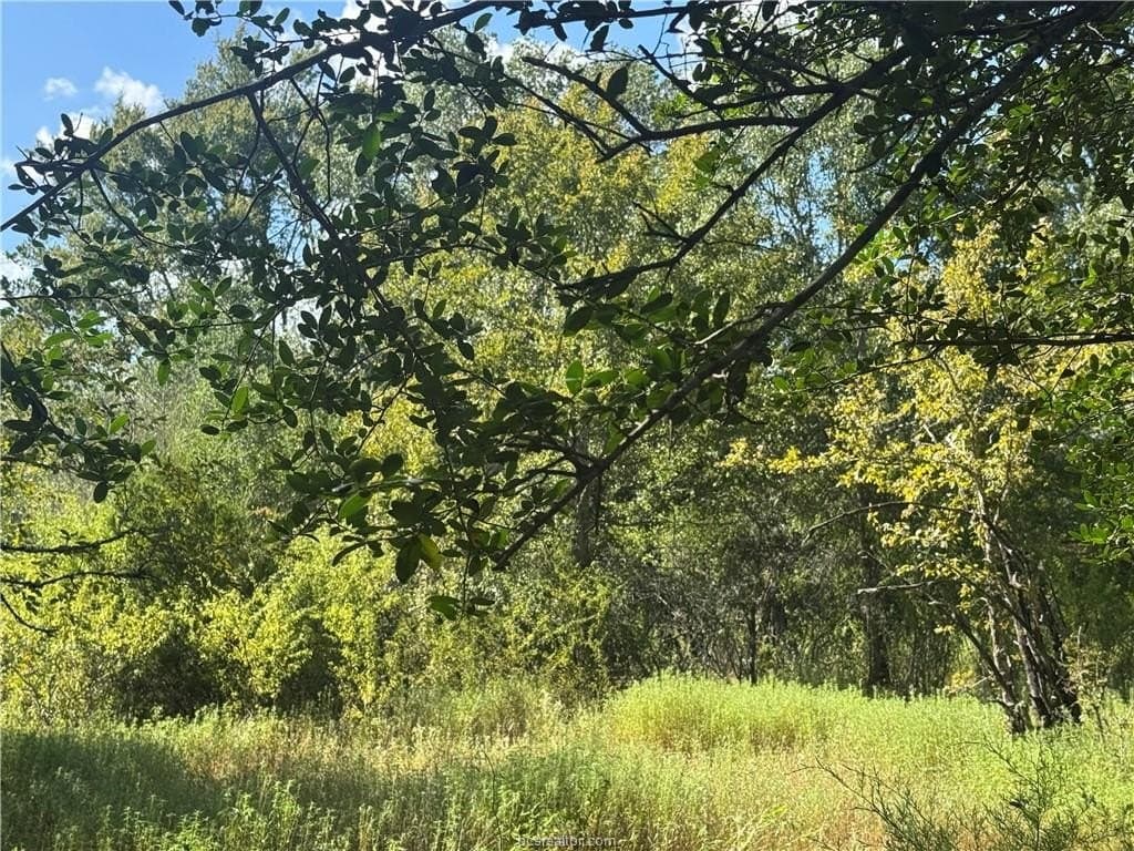 7.36 acres in Washington County - photo 13