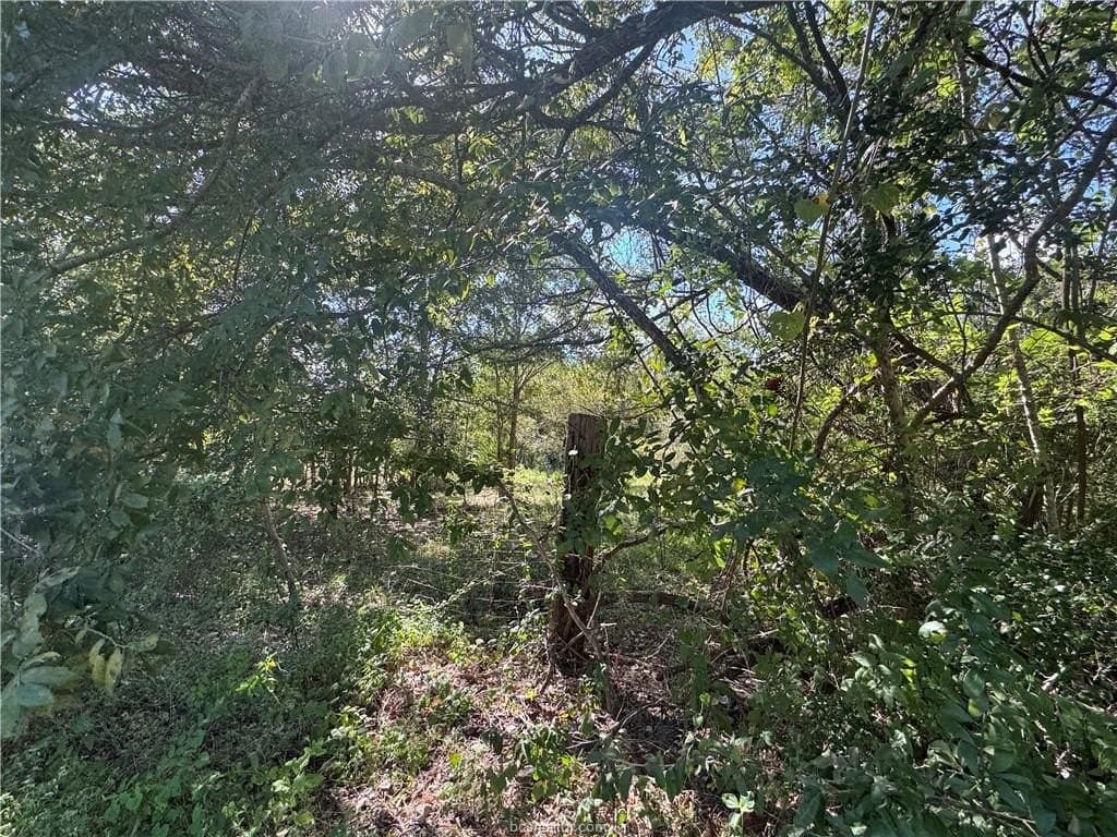 7.36 acres in Washington County - photo 15