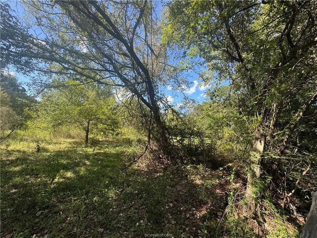 7.36 acres in Washington County - photo 10