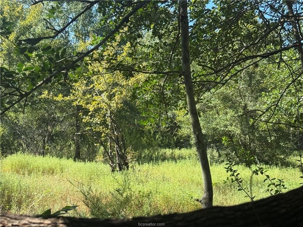 7.36 acres in Washington County - photo 14