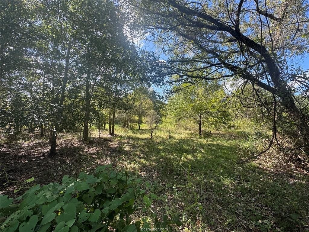 7.36 acres in Washington County - photo 2