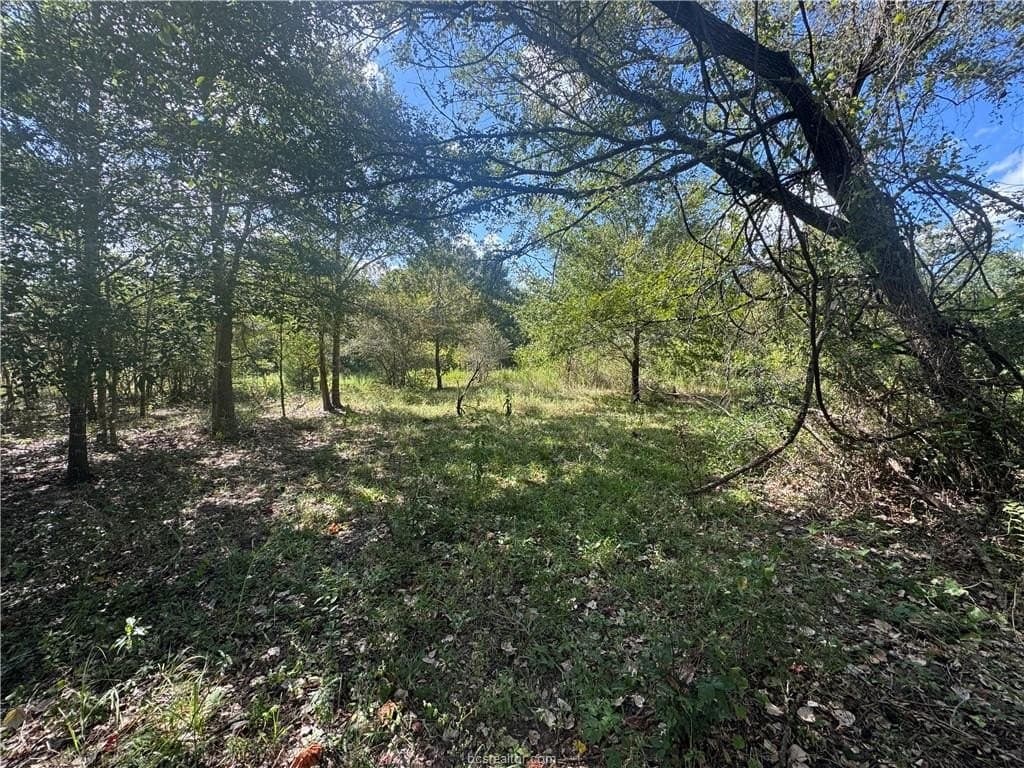7.36 acres in Washington County - photo 6