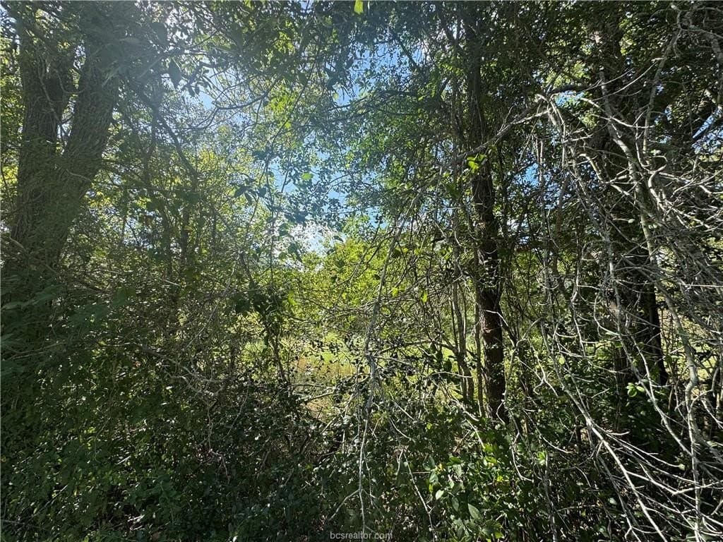 7.36 acres in Washington County - photo 12