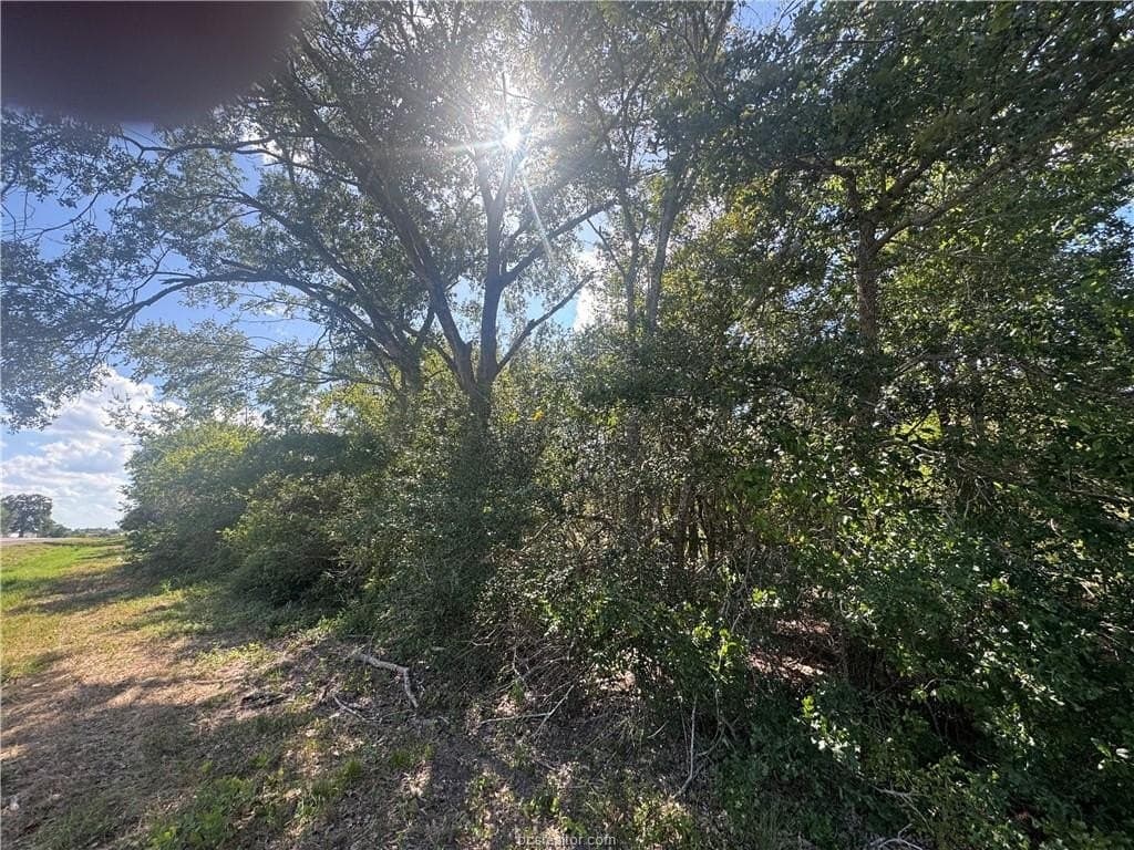 7.36 acres in Washington County - photo 7
