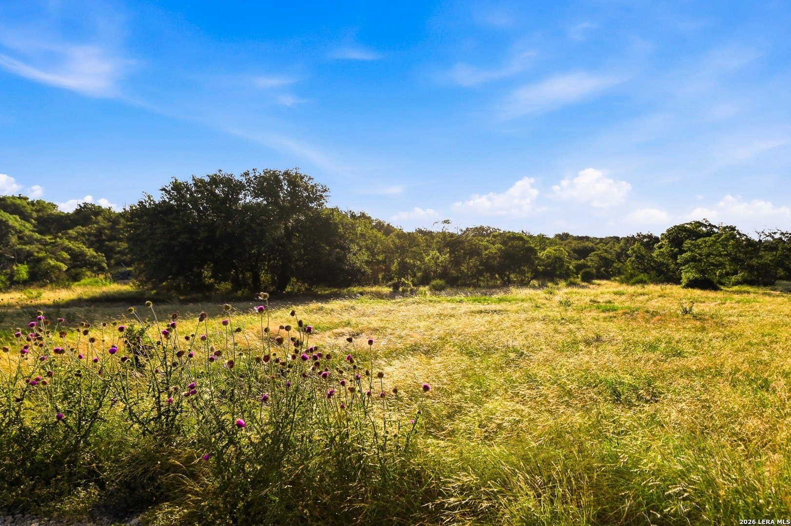 21.01 acres in Kimble County - photo 12