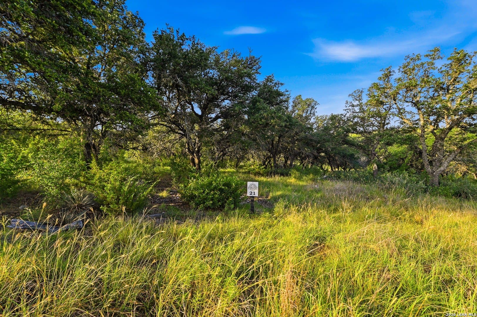 21.01 acres in Kimble County - photo 9
