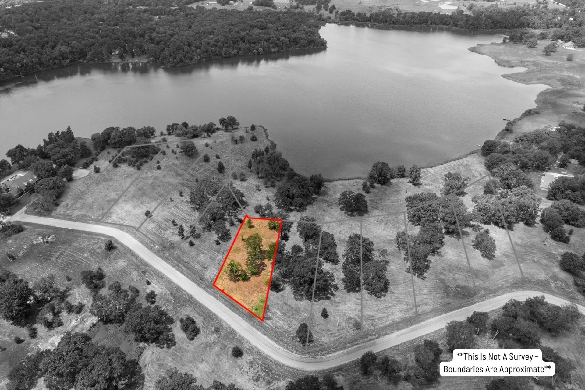 1 acres in Titus County gallery image 4