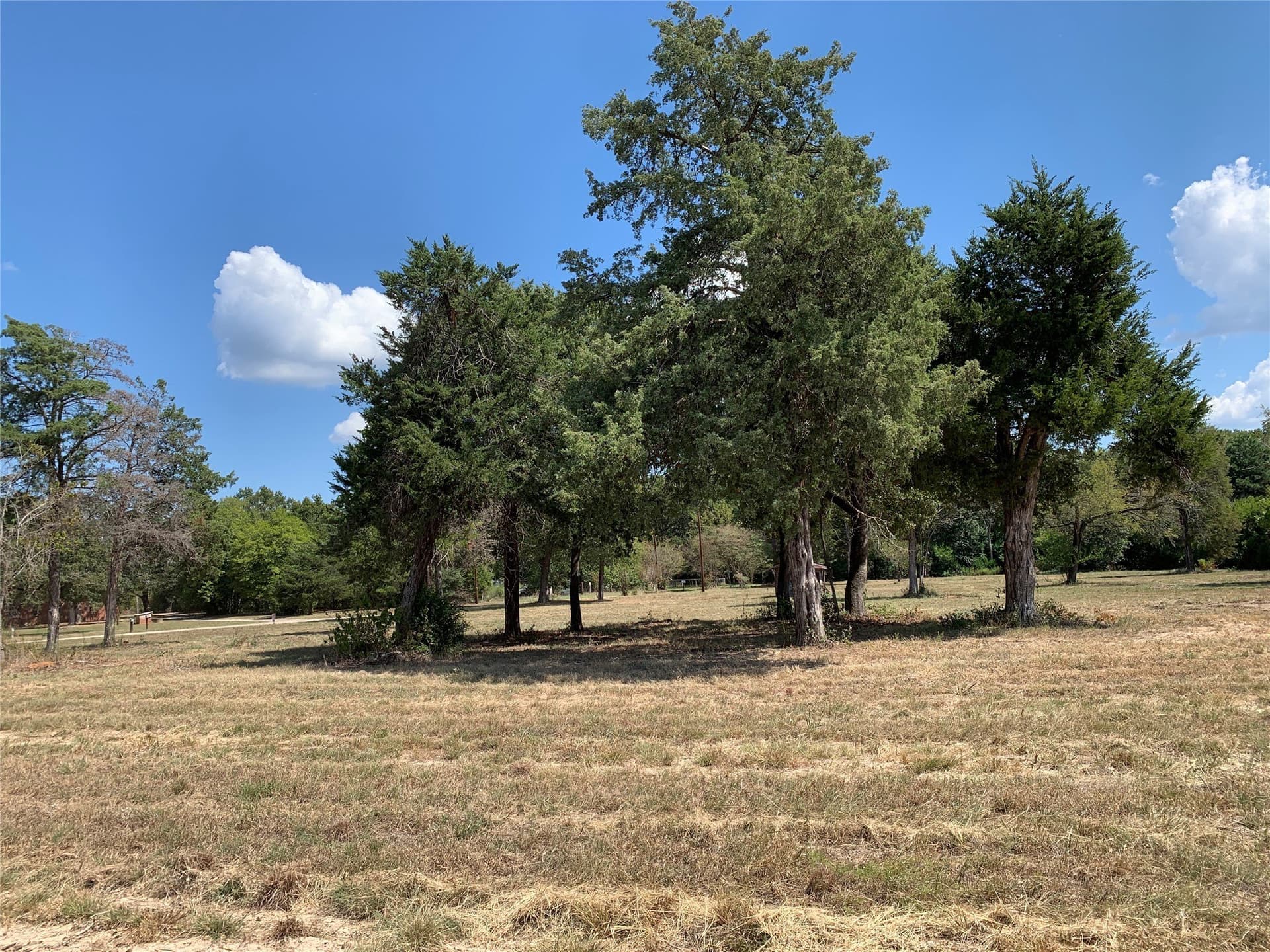 2.53 acres in Henderson County - photo 6