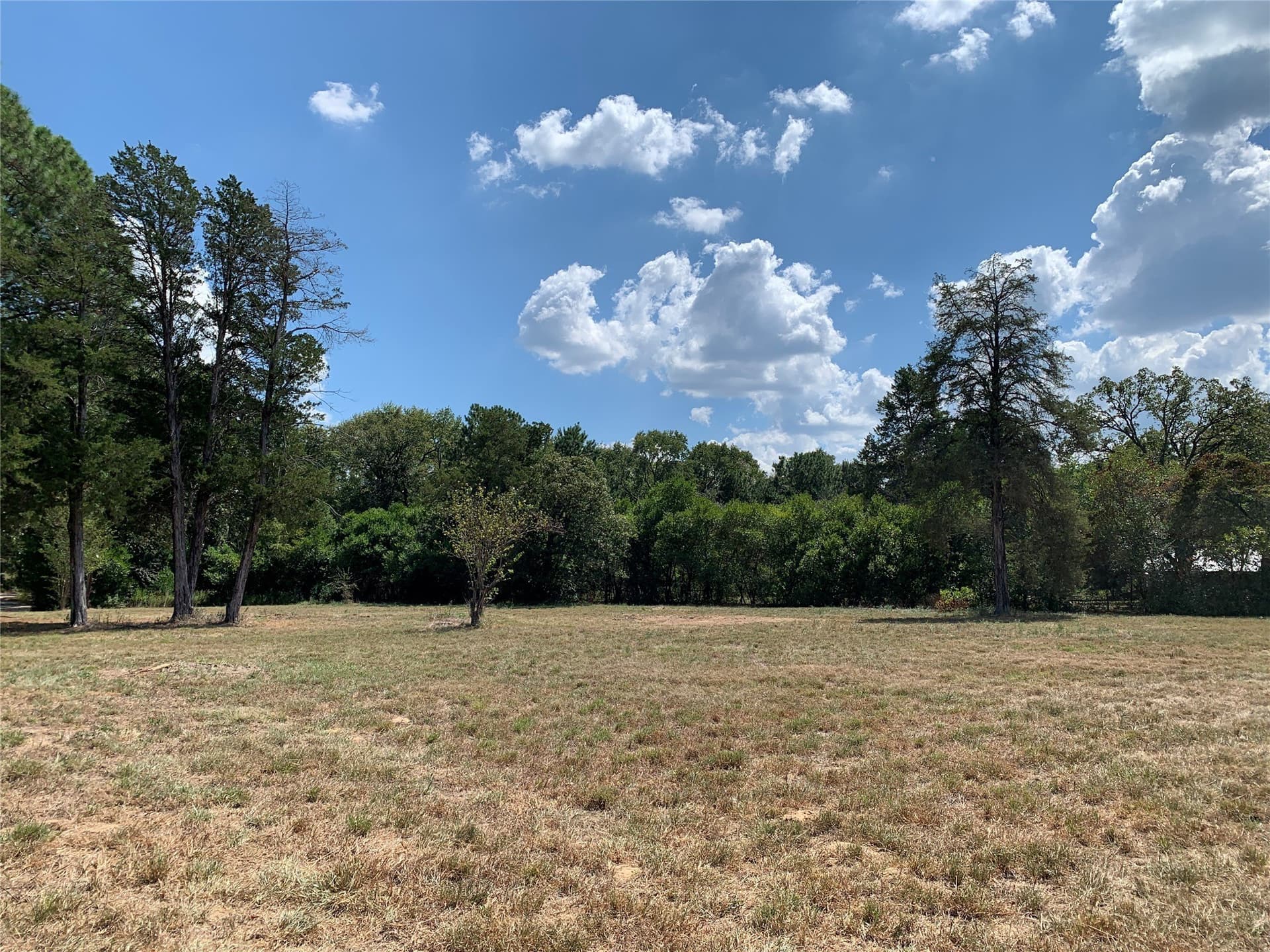 2.53 acres in Henderson County - photo 3