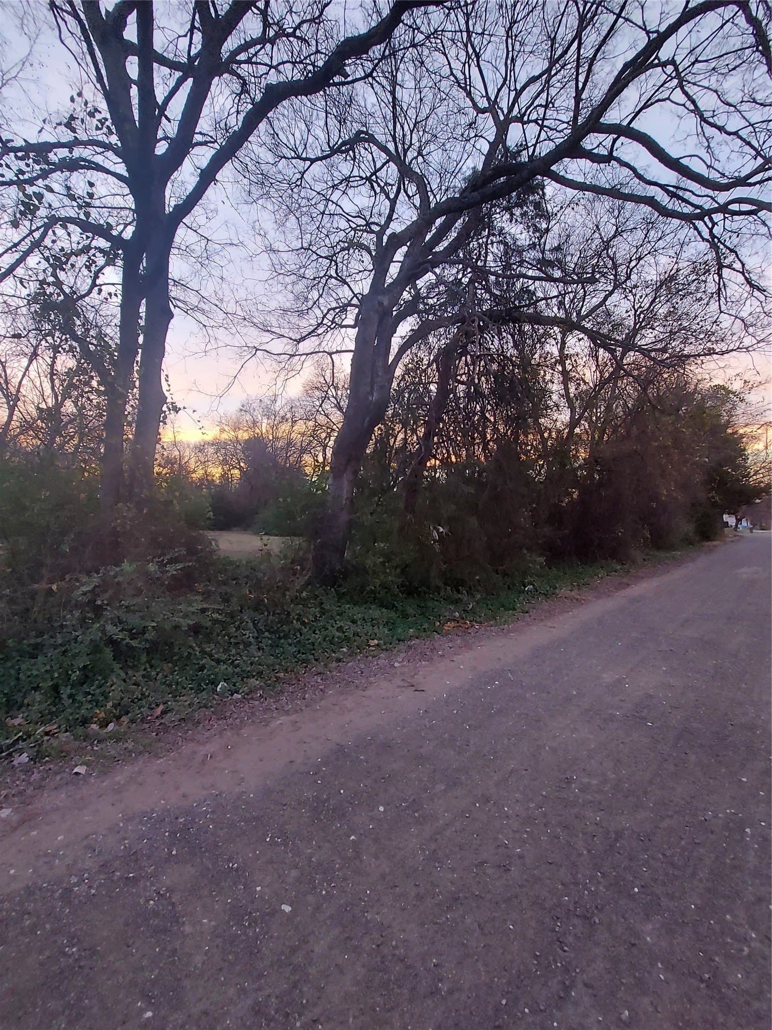 1.37 acres in Hunt County gallery image 4