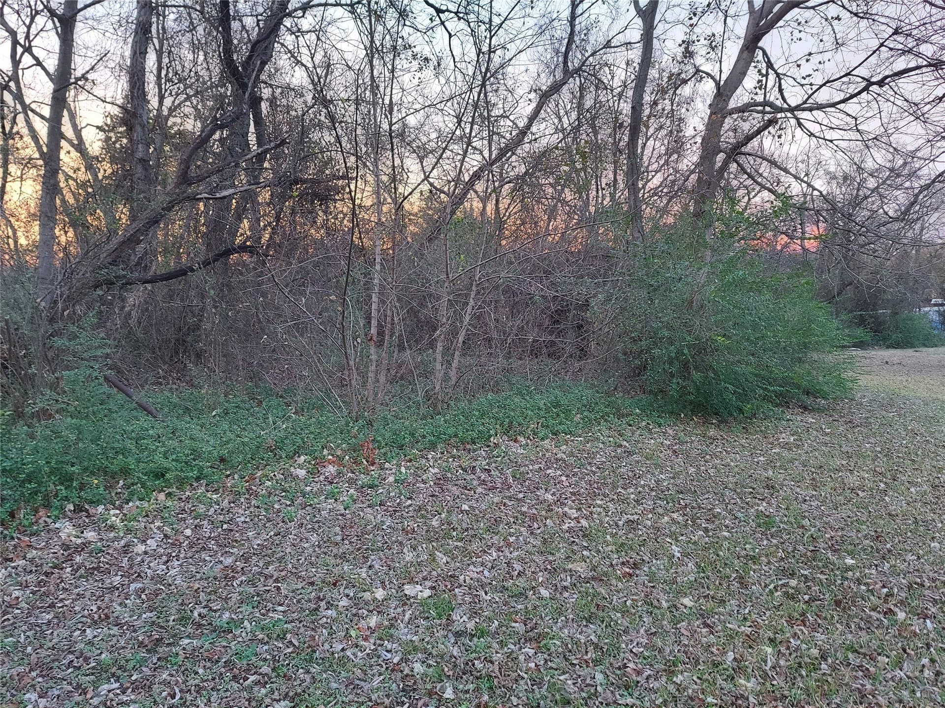 1.37 acres in Hunt County gallery image 2