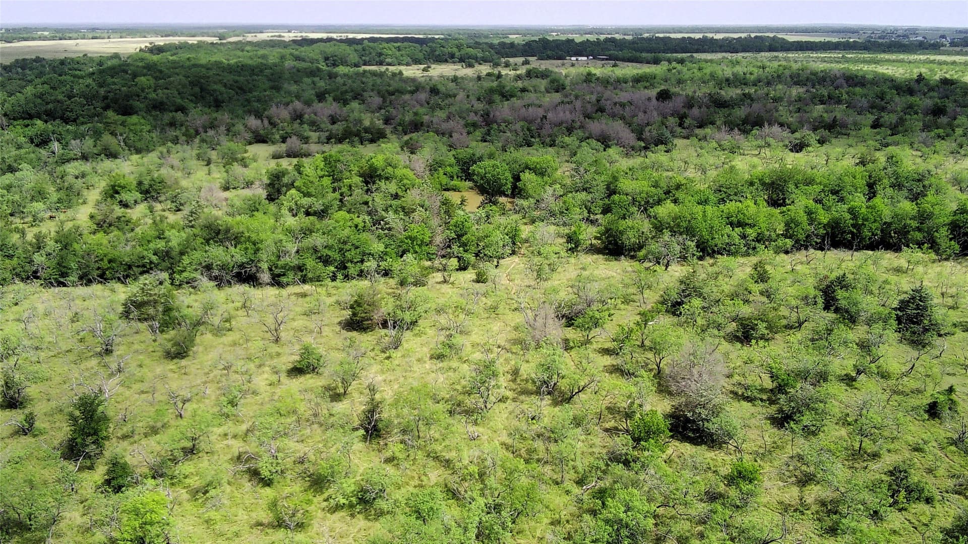 149.49 acres in Limestone County - photo 2