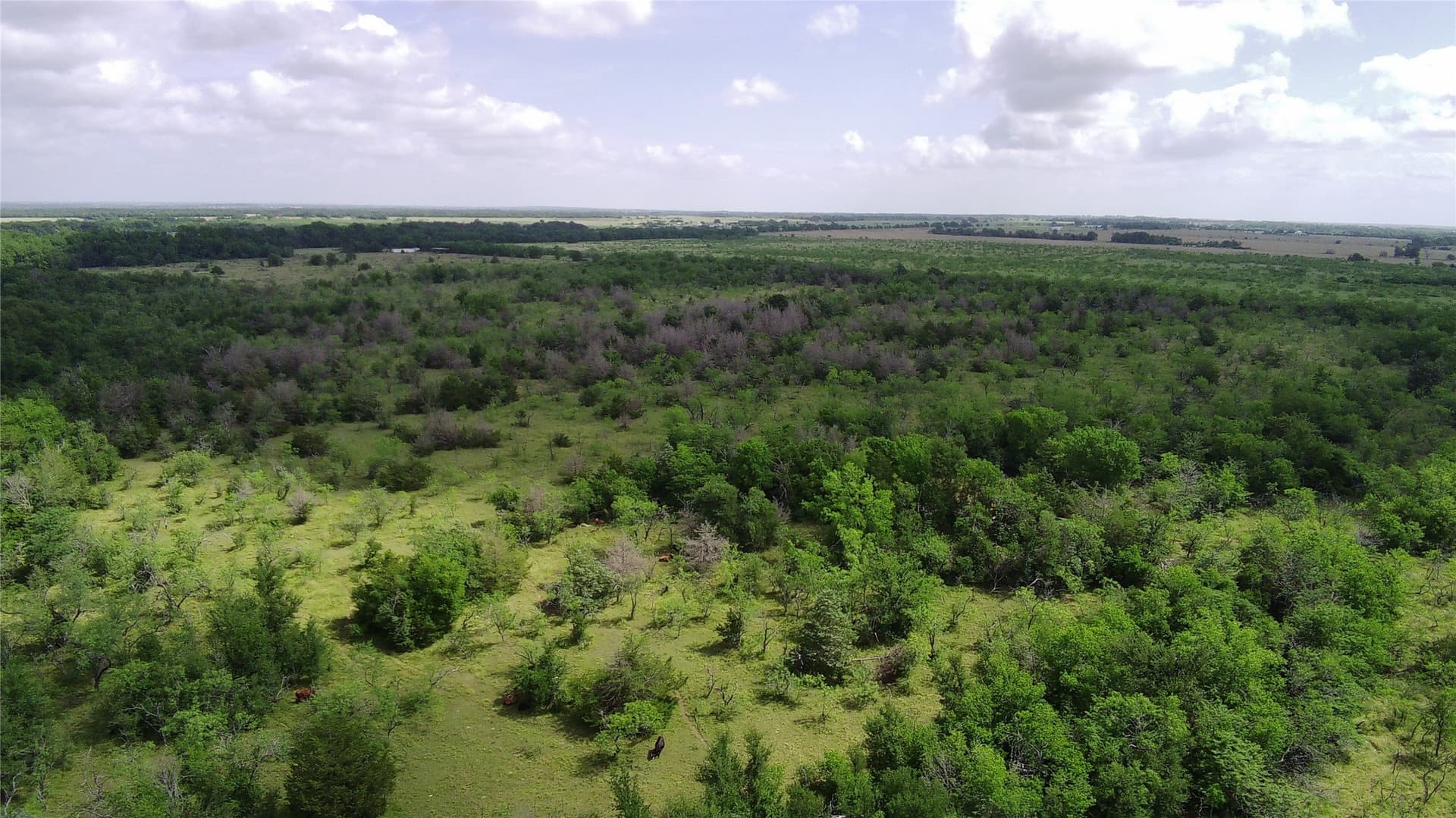 149.49 acres in Limestone County - photo 9