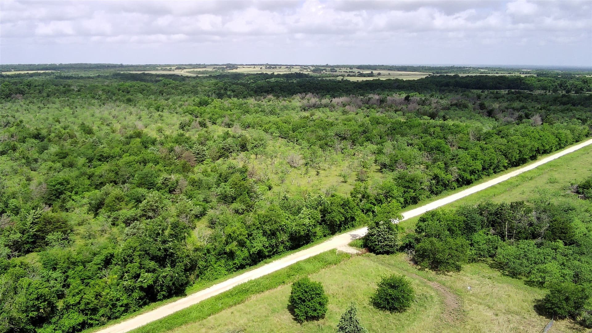 149.49 acres in Limestone County - photo 4