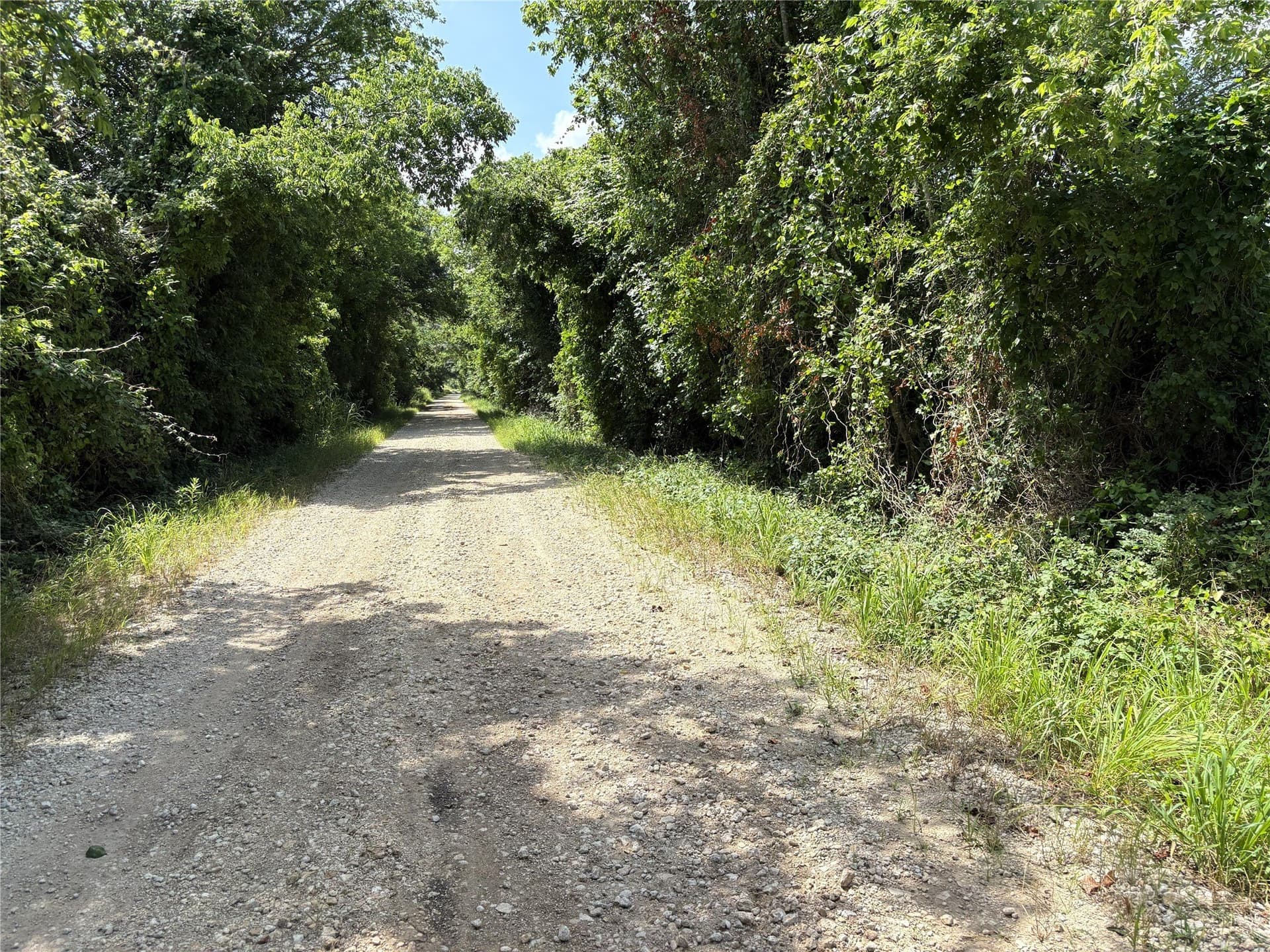 149.49 acres in Limestone County - photo 16