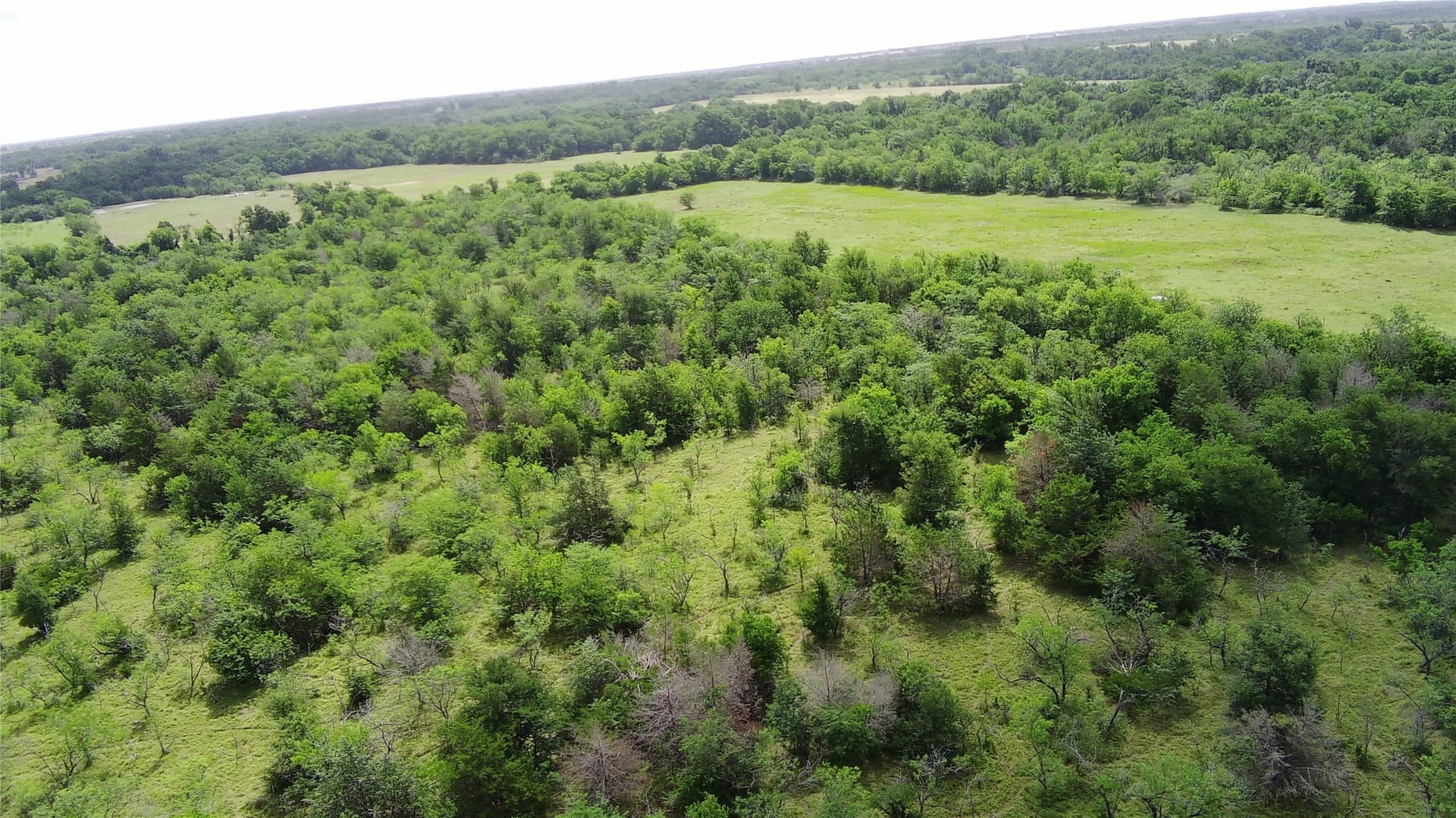 149.49 acres in Limestone County - photo 8