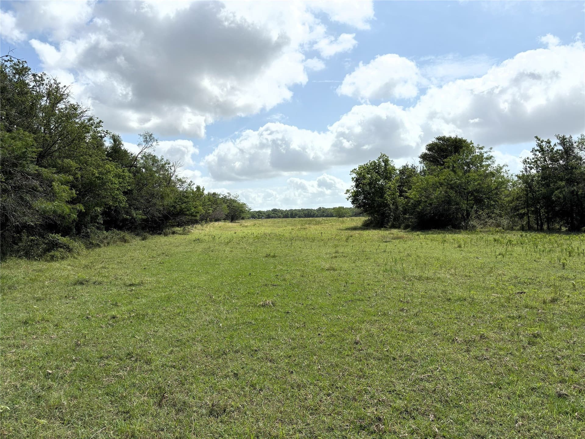 149.49 acres in Limestone County - photo 13
