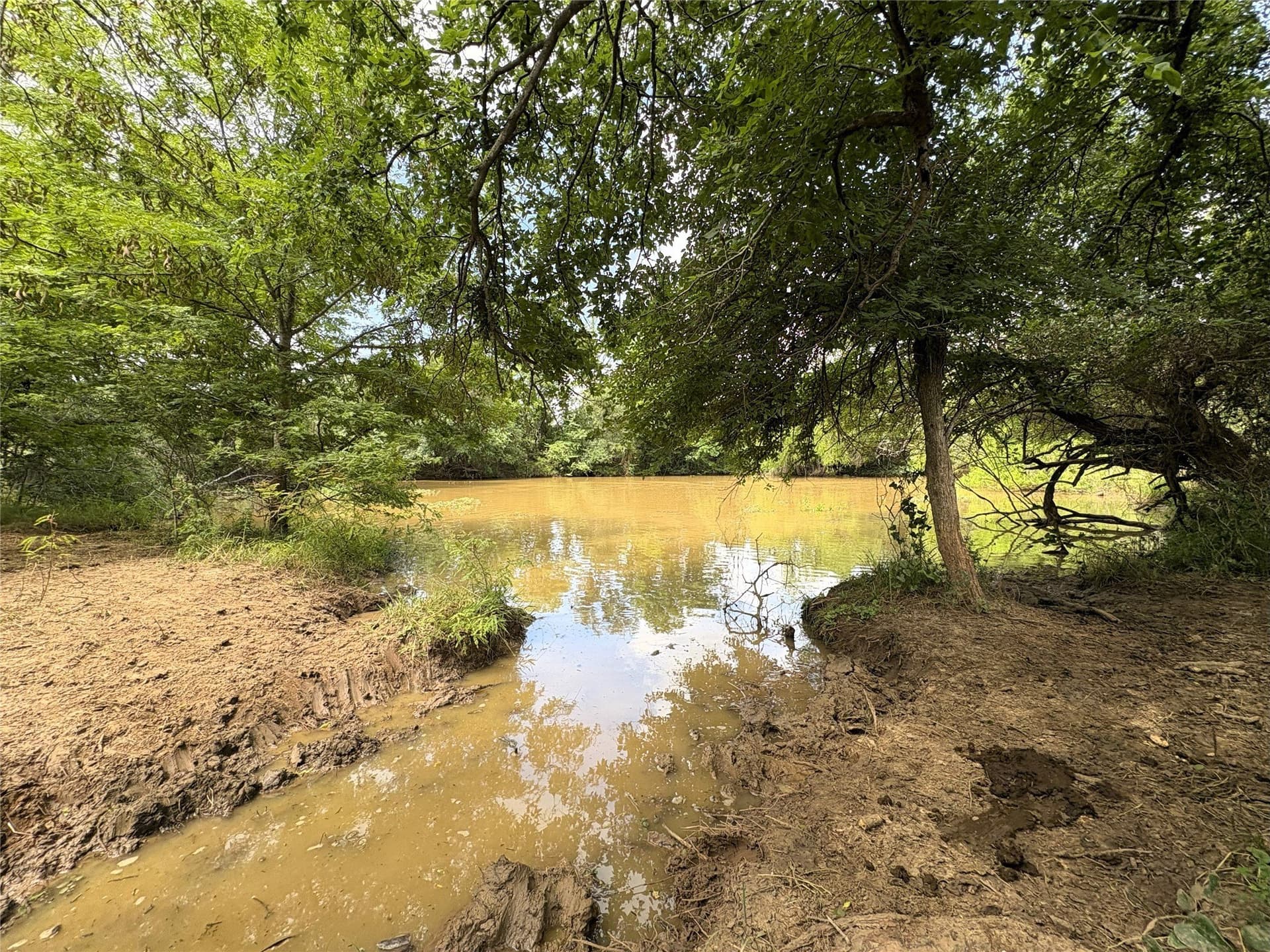 149.49 acres in Limestone County - photo 10