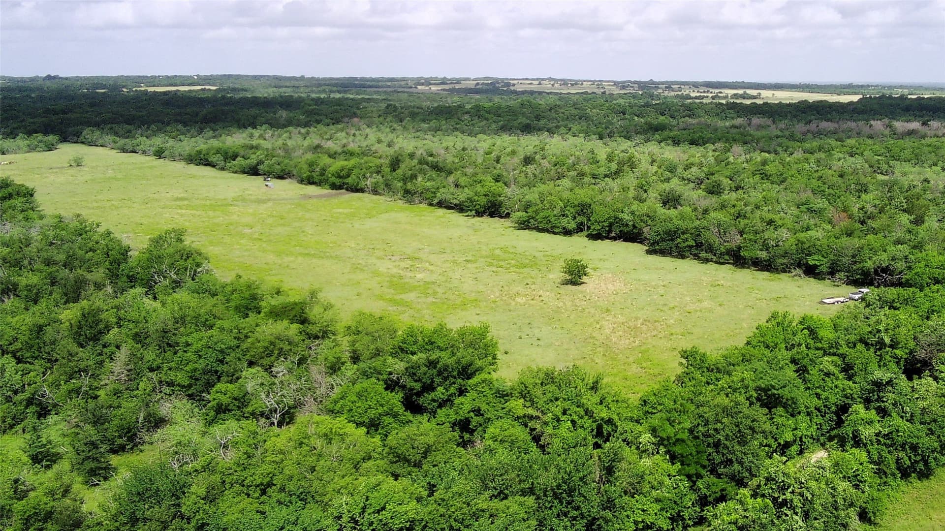 149.49 acres in Limestone County - photo 6